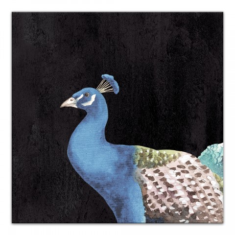 12 x 12 Canvas Wall Art