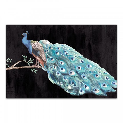 Peacock 48 x 32 Canvas Wall Art