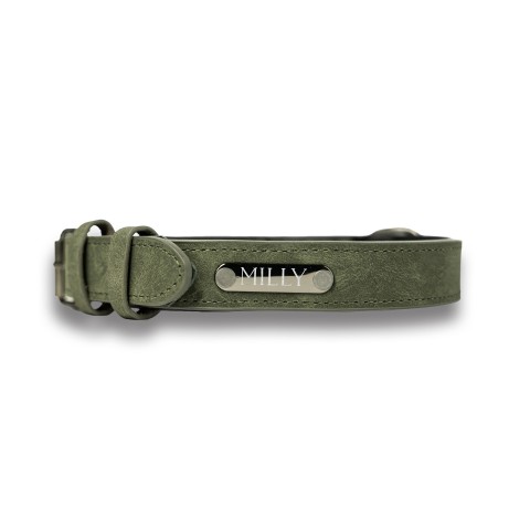 Naïve Bold Font Personalized 1 x 23 Green Leather Collar