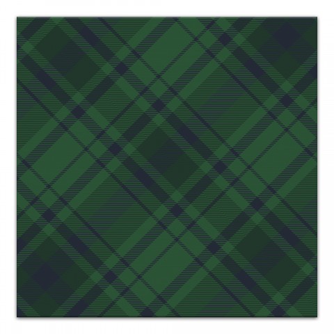 Plaid Balette Bias Green 12 x 12 Canvas Wall Art