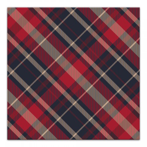 Plaid Palette Bias Red 12 x 12 Canvas Wall Art