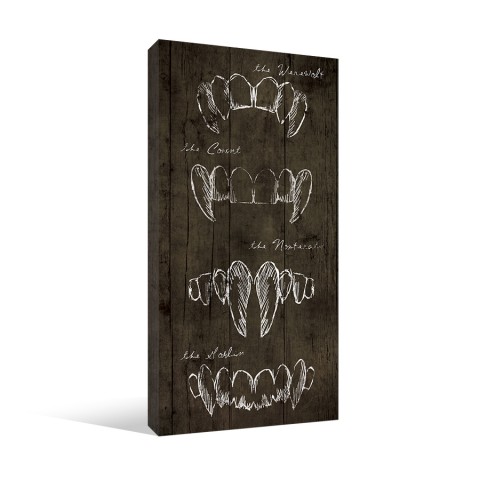 Fang Types 10x20 Canvas Wall Art