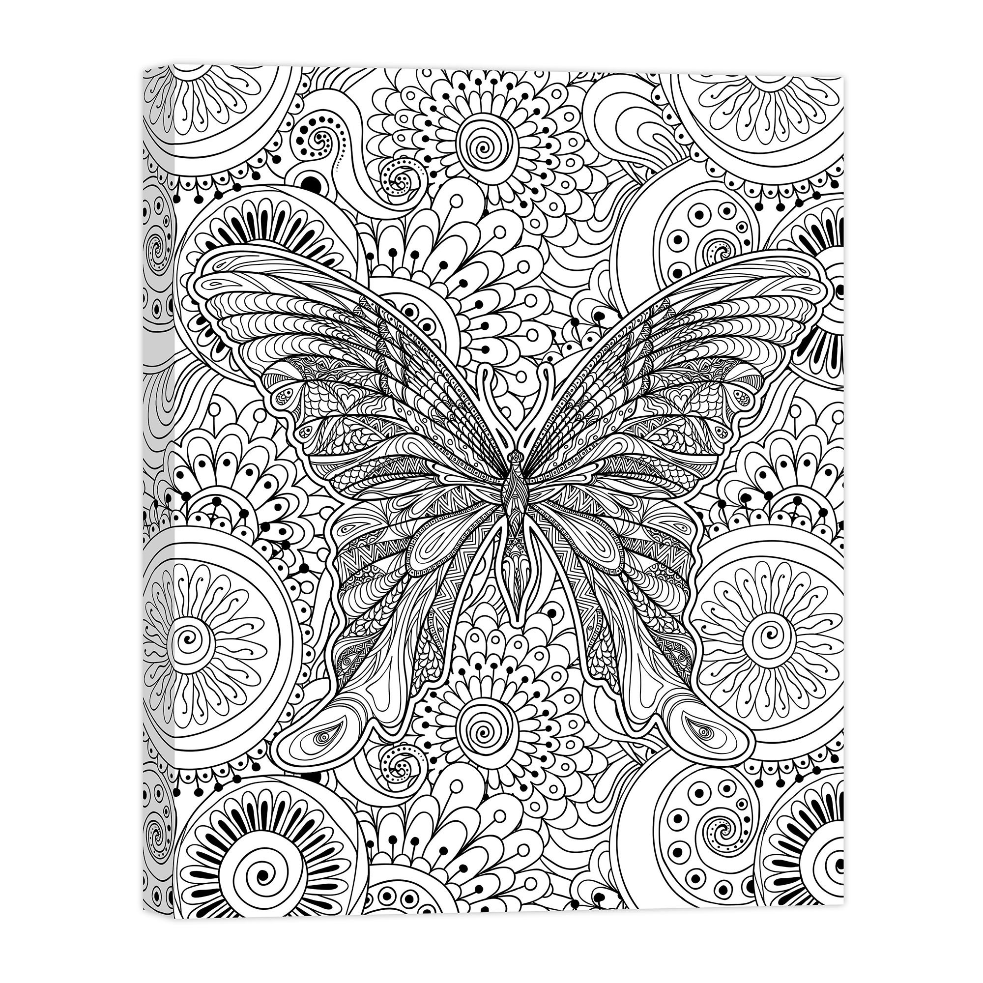 Winged Adventure 16x20 Coloring Canvas Wall Art
