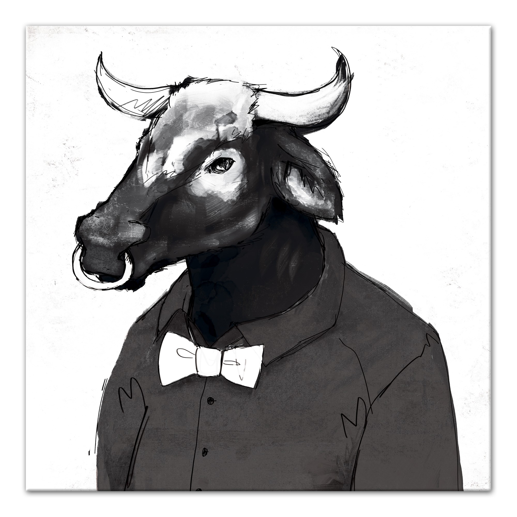 Cool Bull Wears Black 24x24 Canvas Wall Art