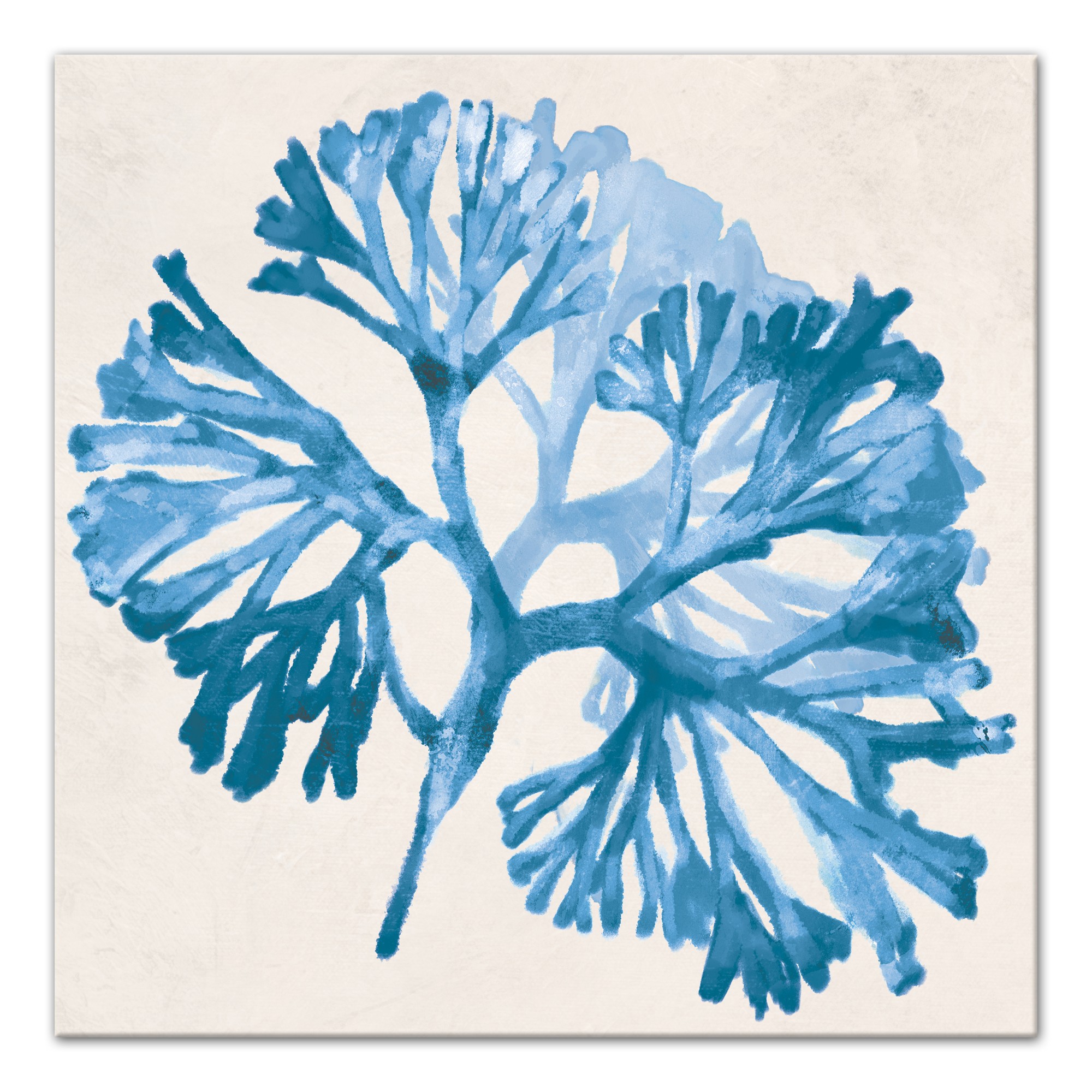 Cobalt Sea Weed 24x24 Canvas Wall Art 