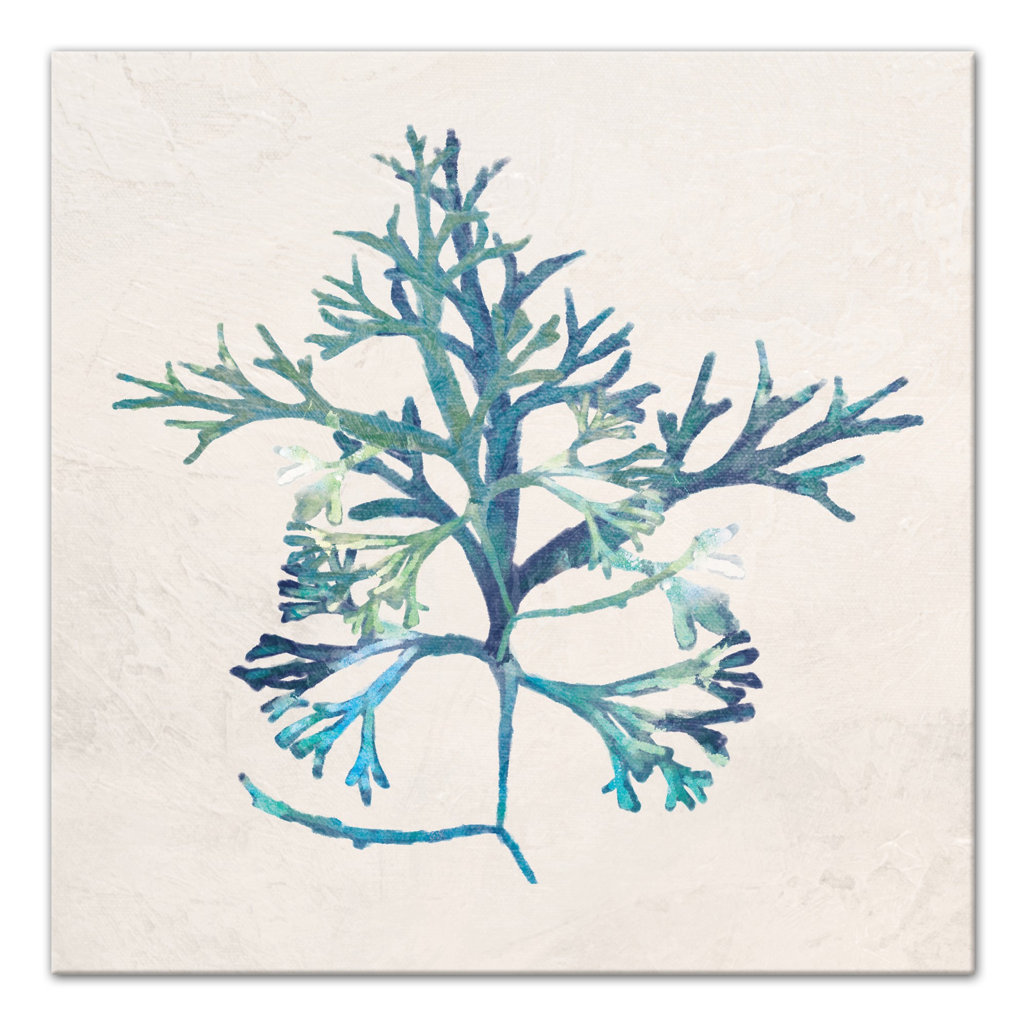 Emerald Sea Weed 24x24 Canvas Wall Art
