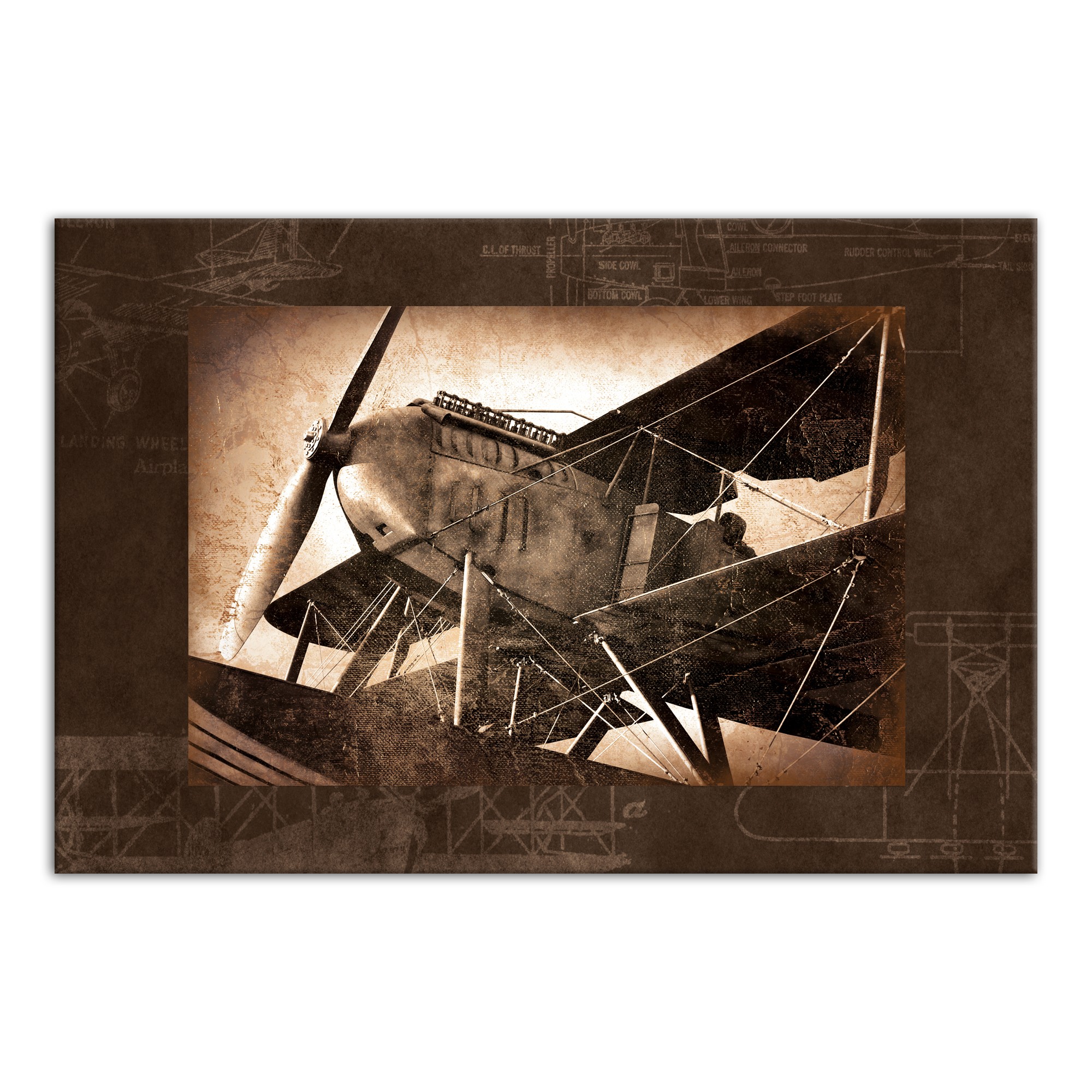 Vintage Biplane 36x24 Canvas Wall Art