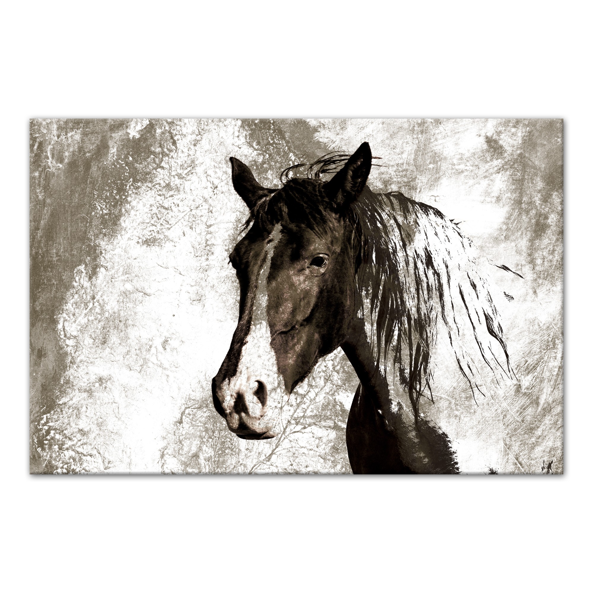Majestic Stallion 36x24 Canvas Wall Art