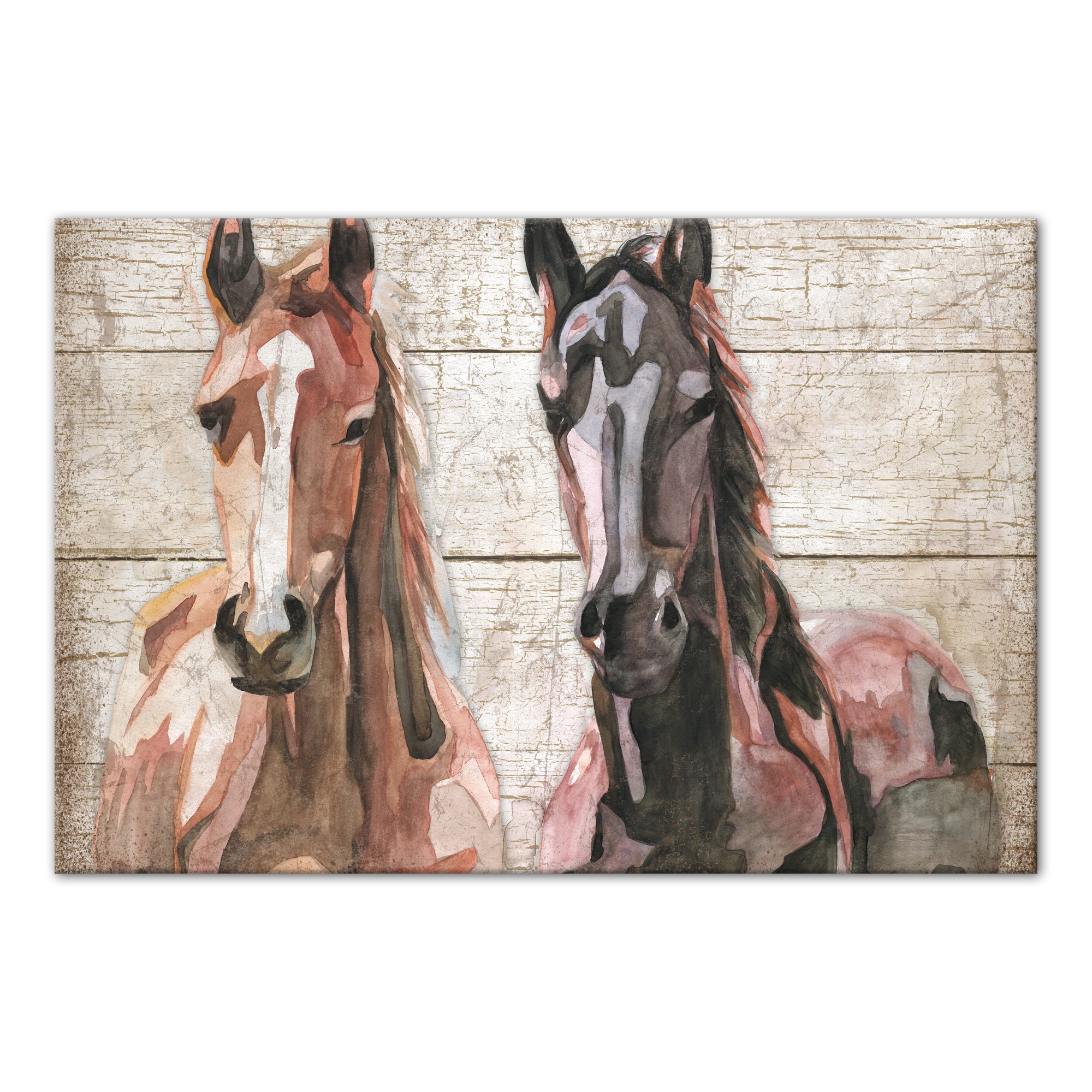 Watercolor Colts 36x24 Canvas Wall Art 