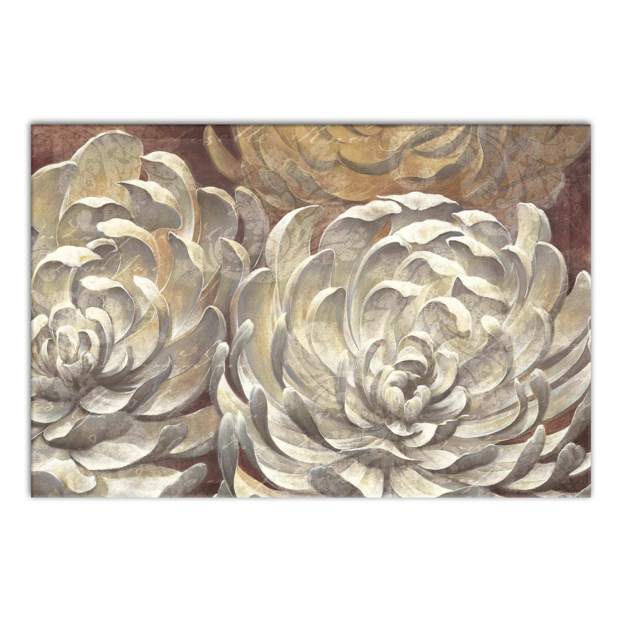 Snowy Chrysanthemum 36x24 Canvas Wall Art 
