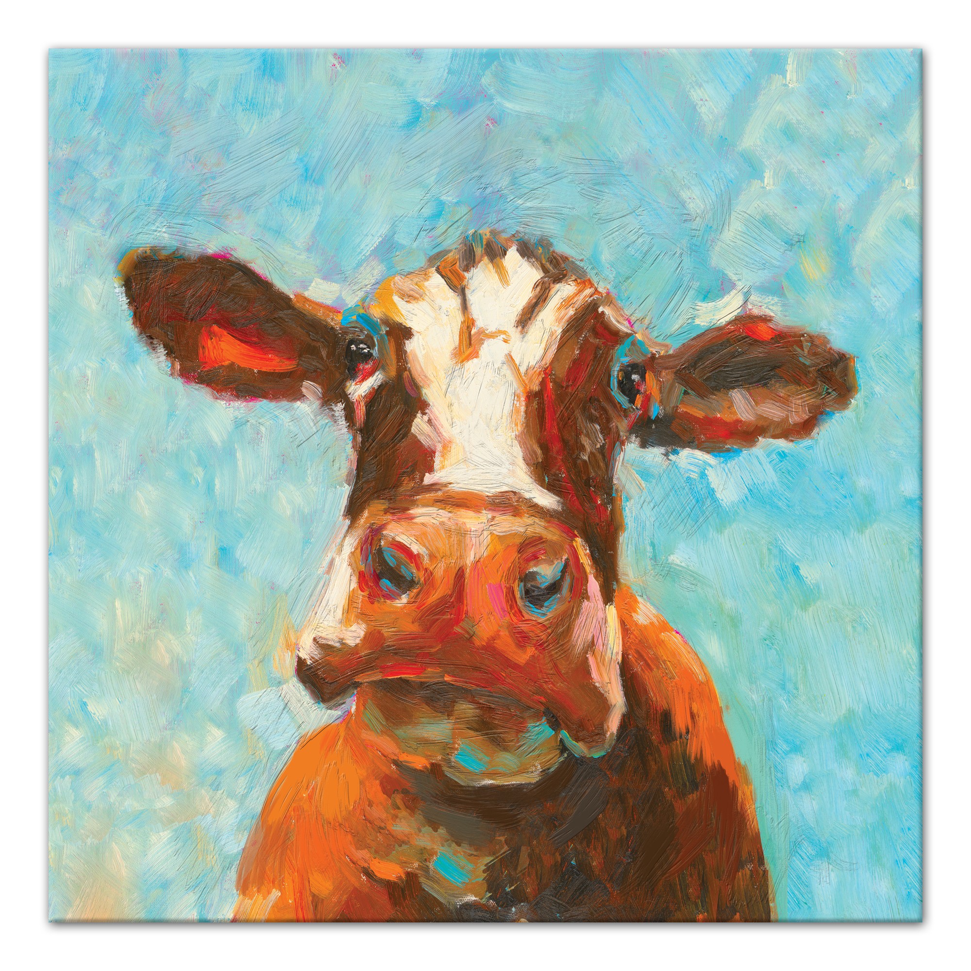 Curious Cow 2 30x30 Canvas Wall Art 