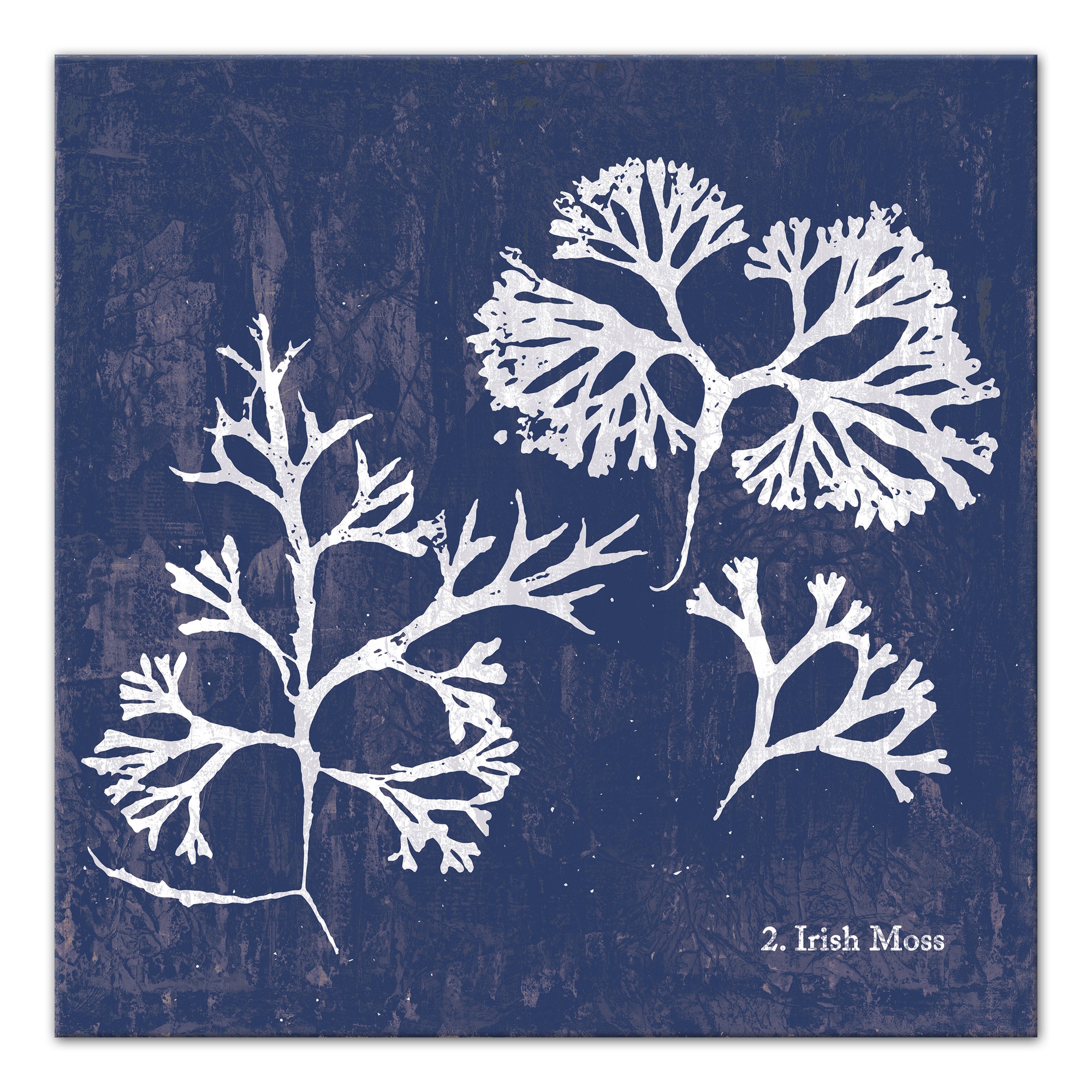 Azure Irish Moss 20x20 Canvas Wall Art
