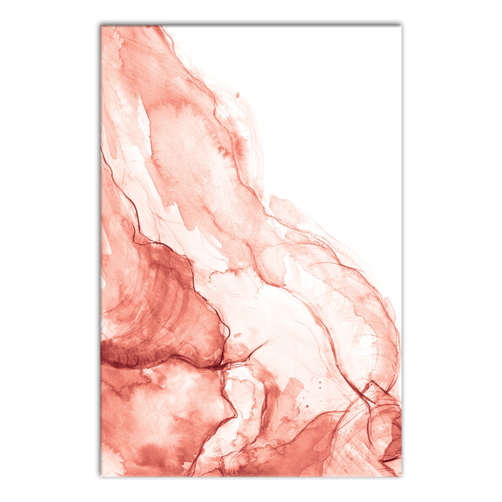 Formation in Coral 24x36 Canvas Wall Art