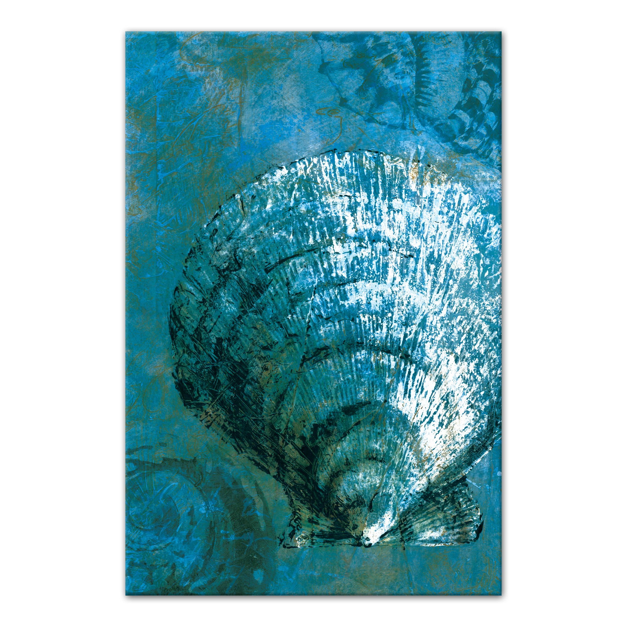 Turquoise Cockle 24x36 Canvas Wall Art