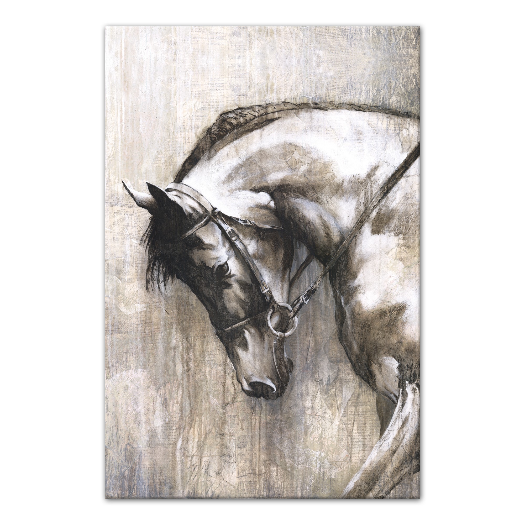 Ready To Run Free 24x36 Canvas Wall Art
