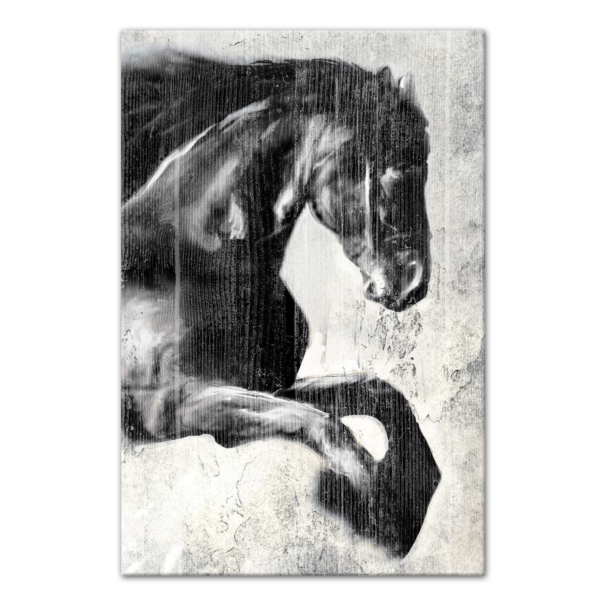 Run Free 24x36 Canvas Wall Art
