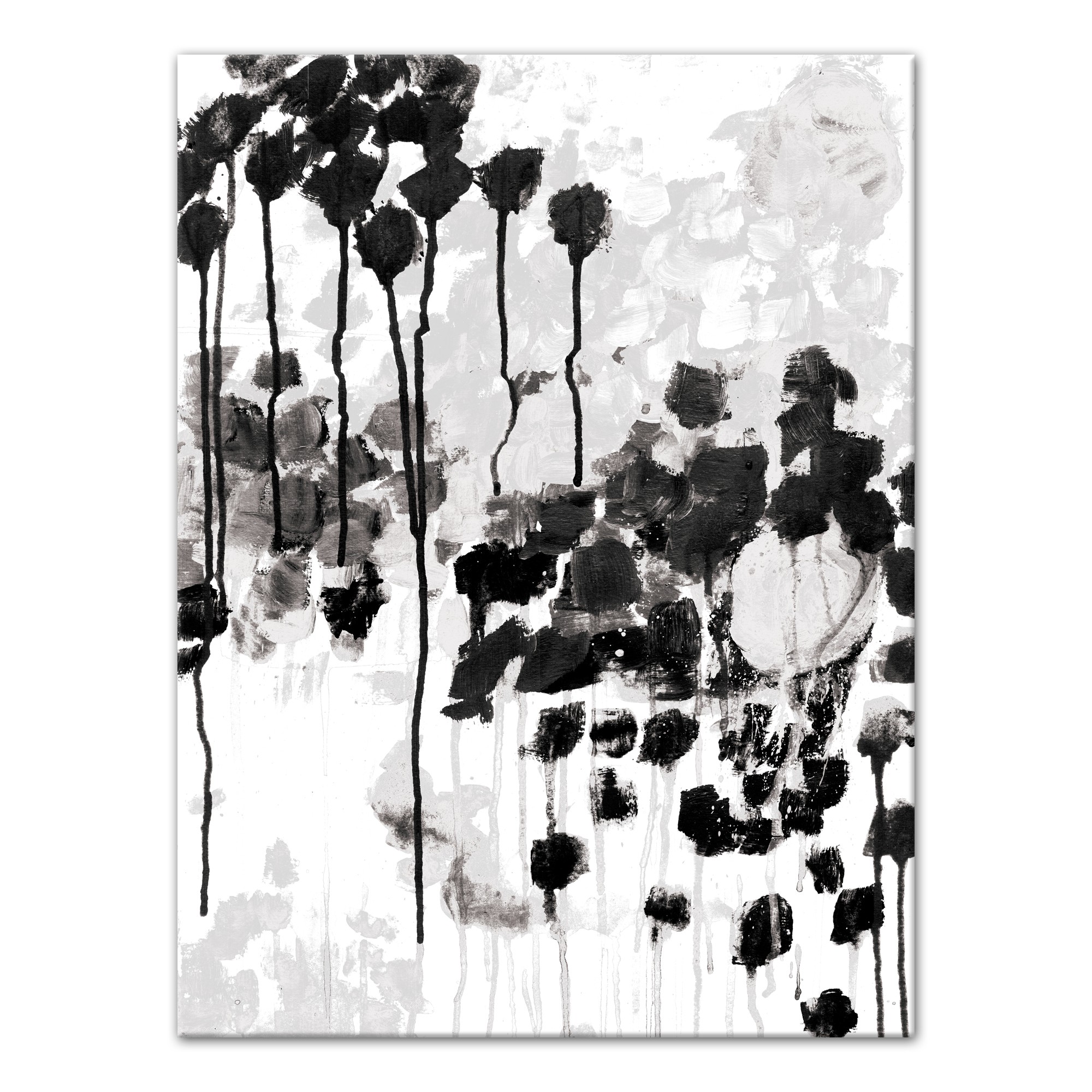 Black Rose Study 30x40 Canvas Wall Art