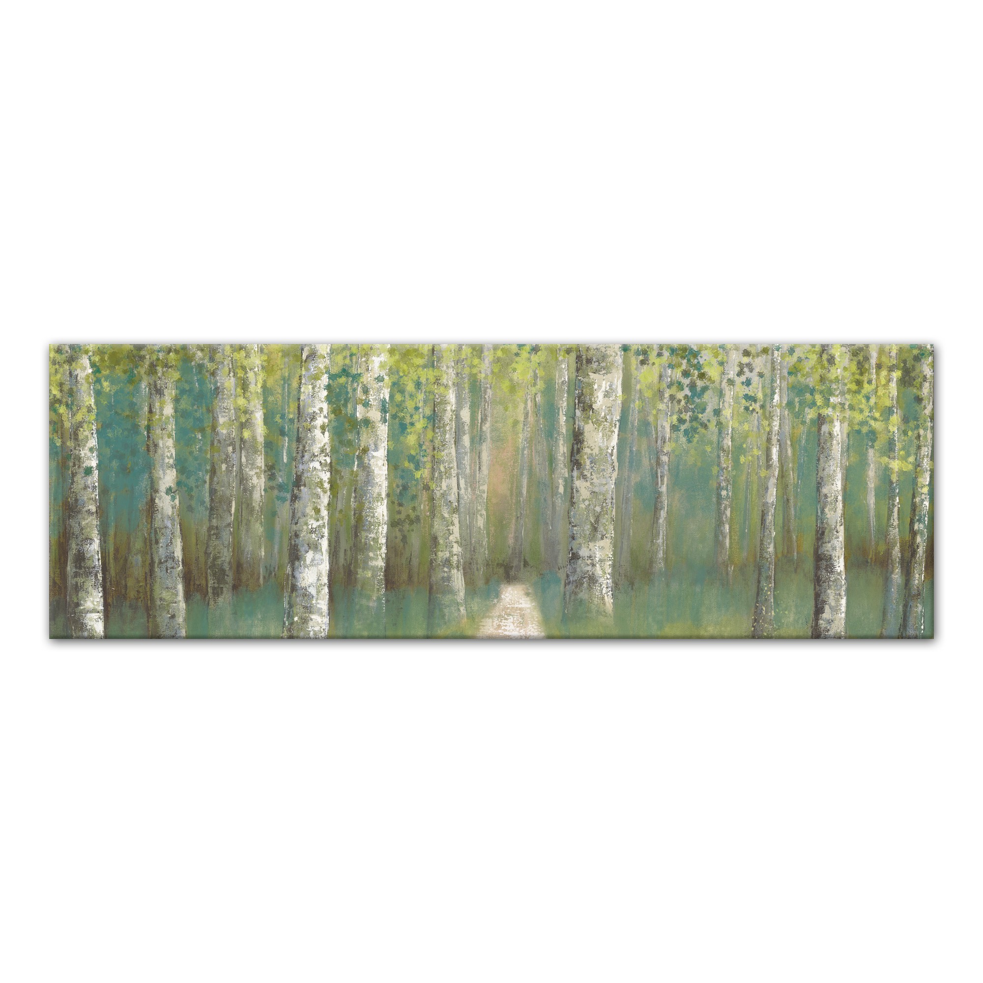 Birch Tree Grove 60x20 Canvas Wall Art