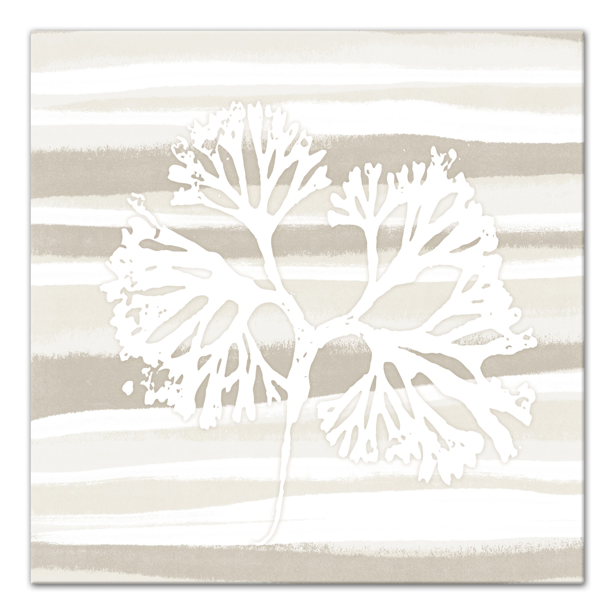 White Kelp 1 30x30 Canvas Wall Art 