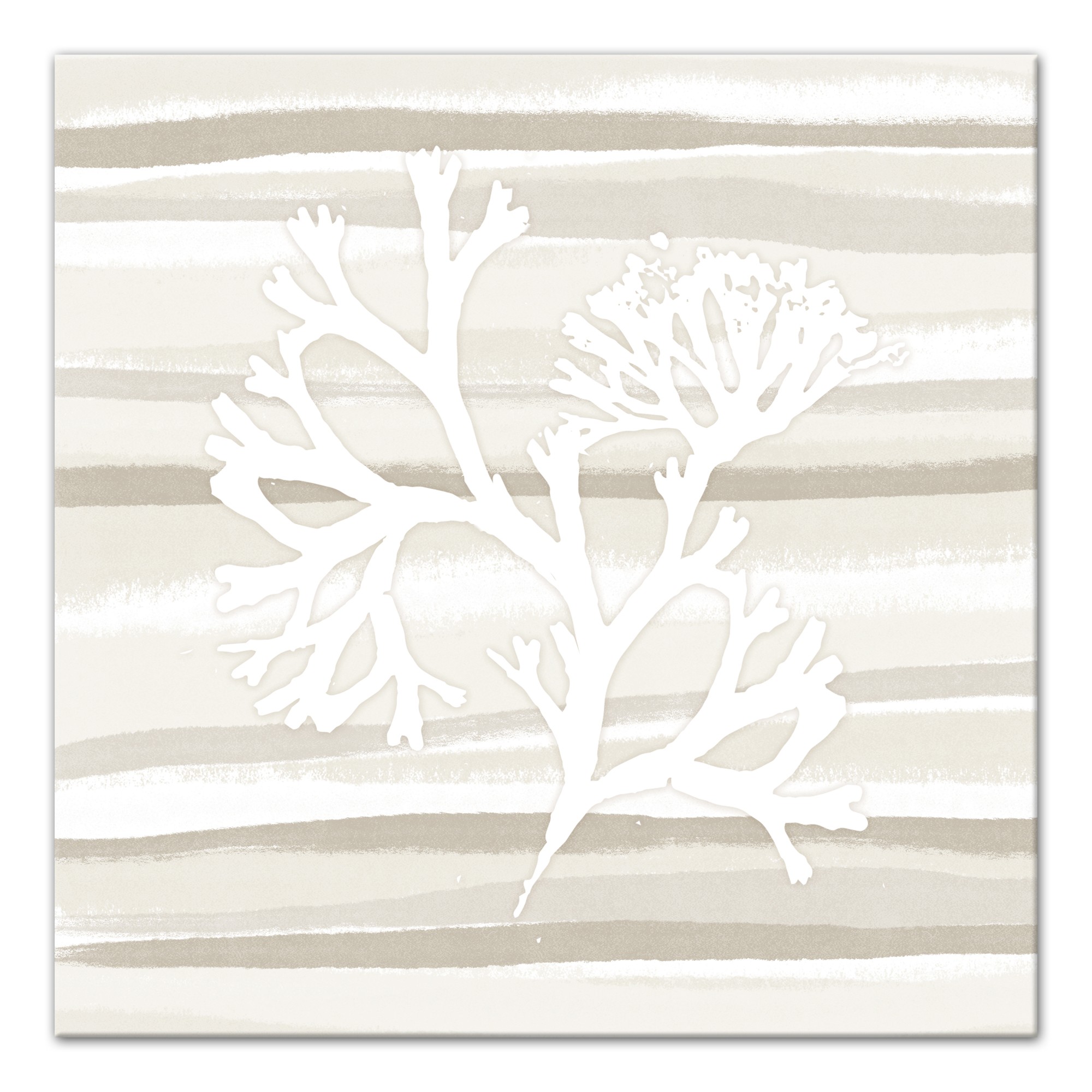 White Kelp 2 30x30 Canvas Wall Art