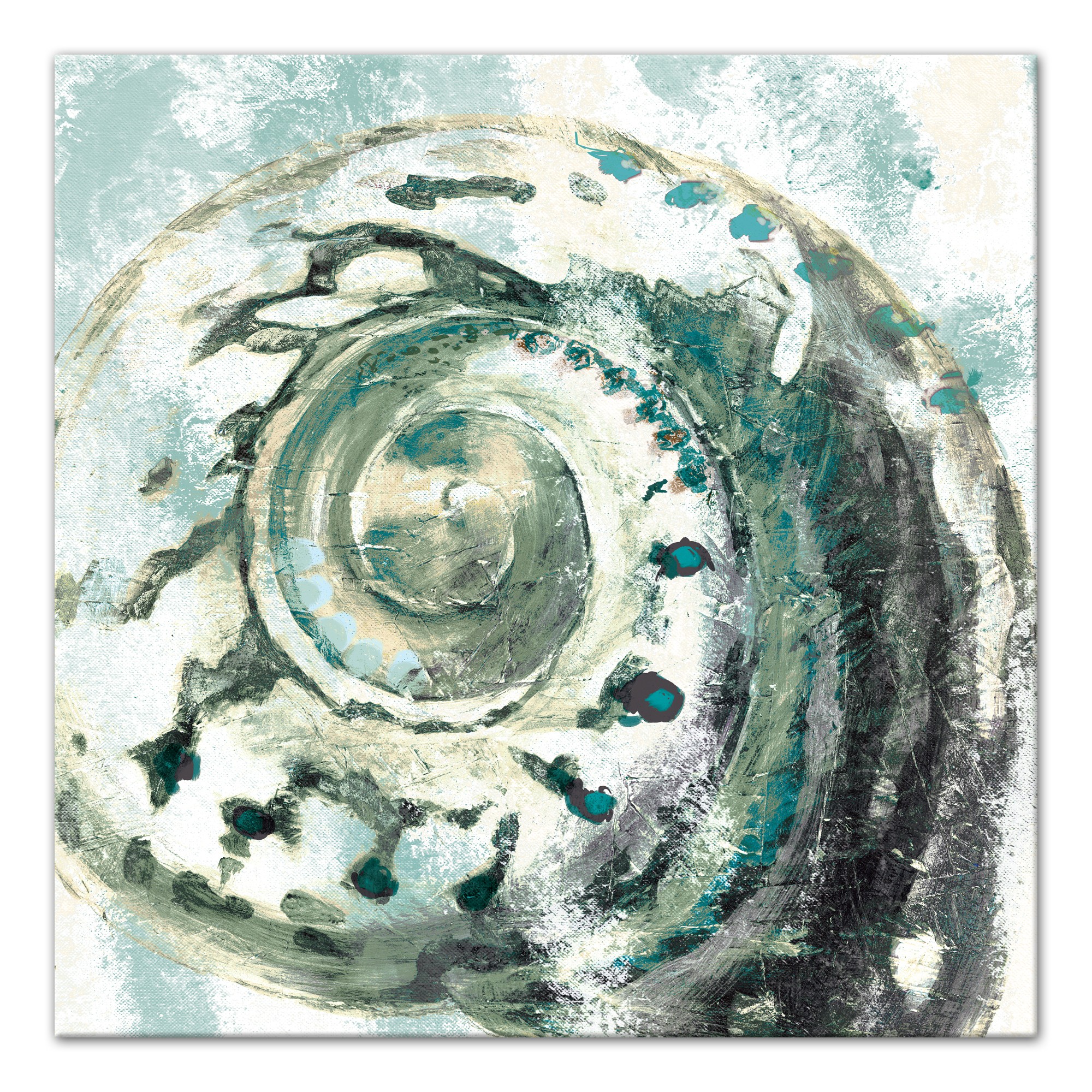 Teal Seashell 30x30 Canvas Wall Art