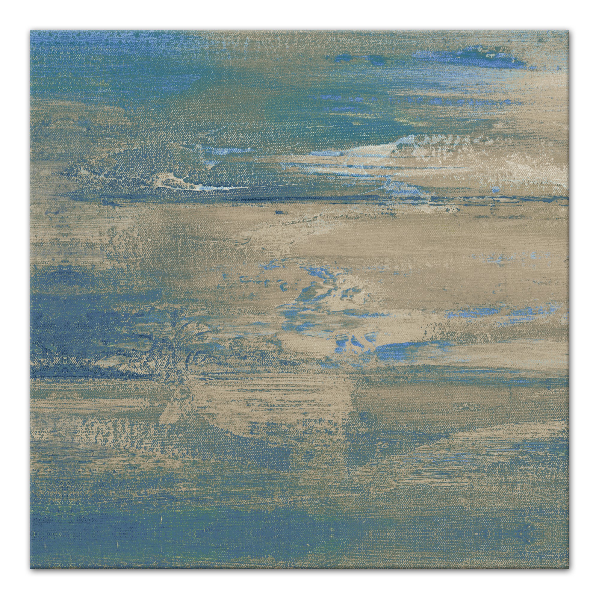 Plankton 36x36 Canvas Wall Art 