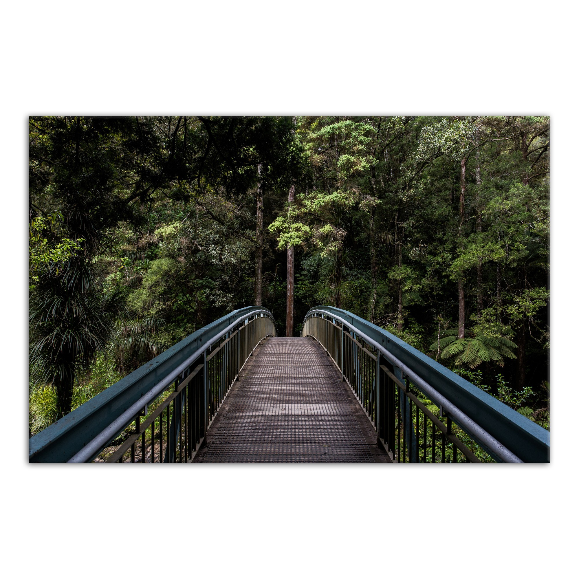 Forrest Bridge 48x32 Canvas Wall Art
