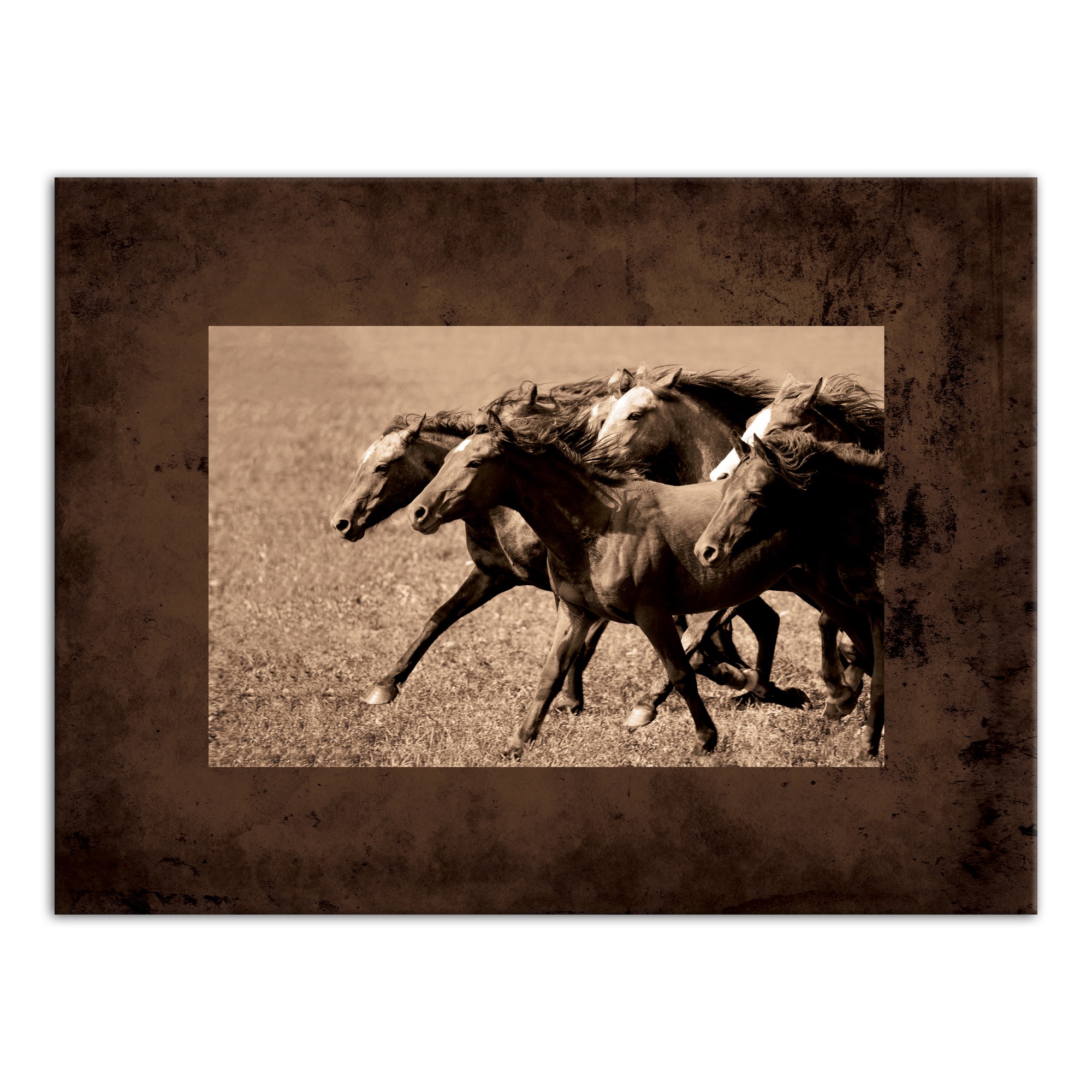 The Herd 40x30 Canvas Wall Art