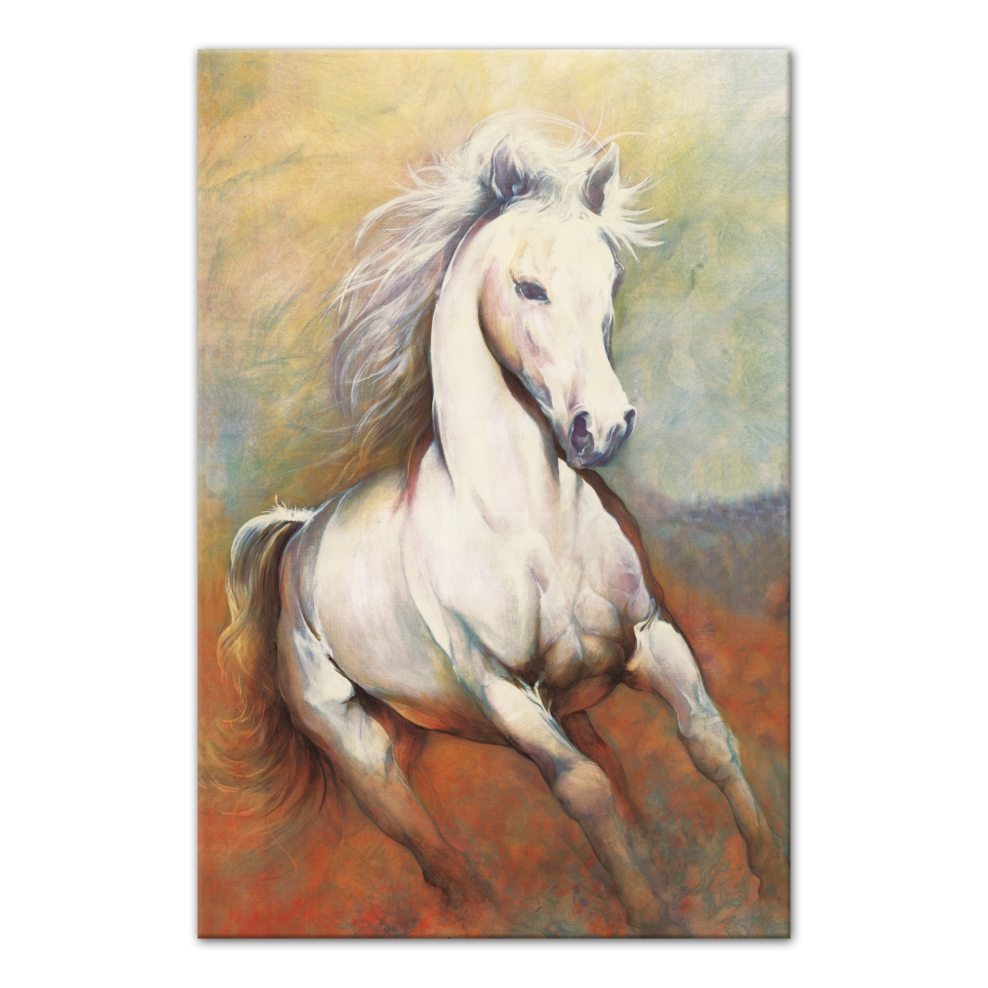 Psychedelic Stallion 24x36 Canvas Wall Art