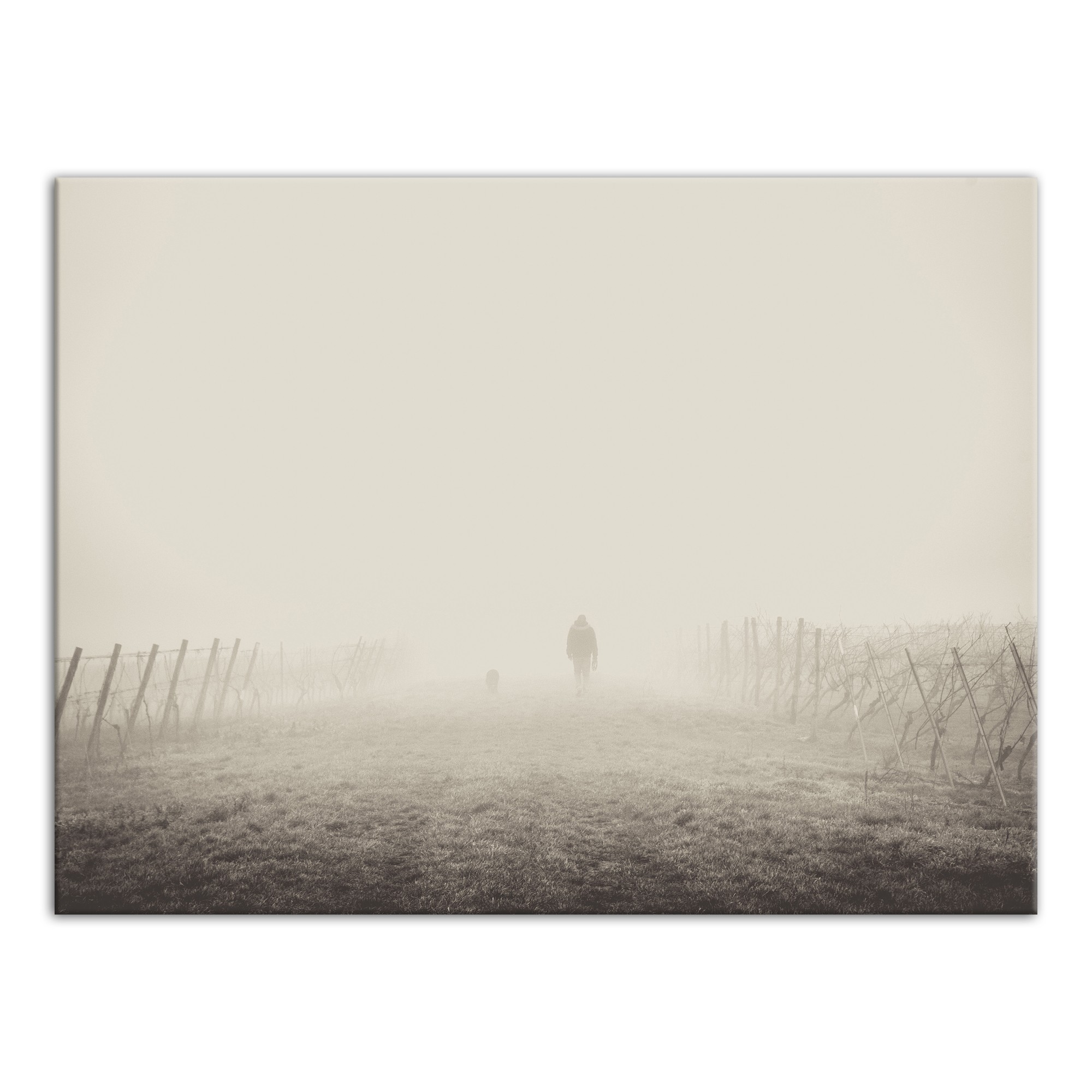 Into The Fog 40x30 Canvas Wall Art
