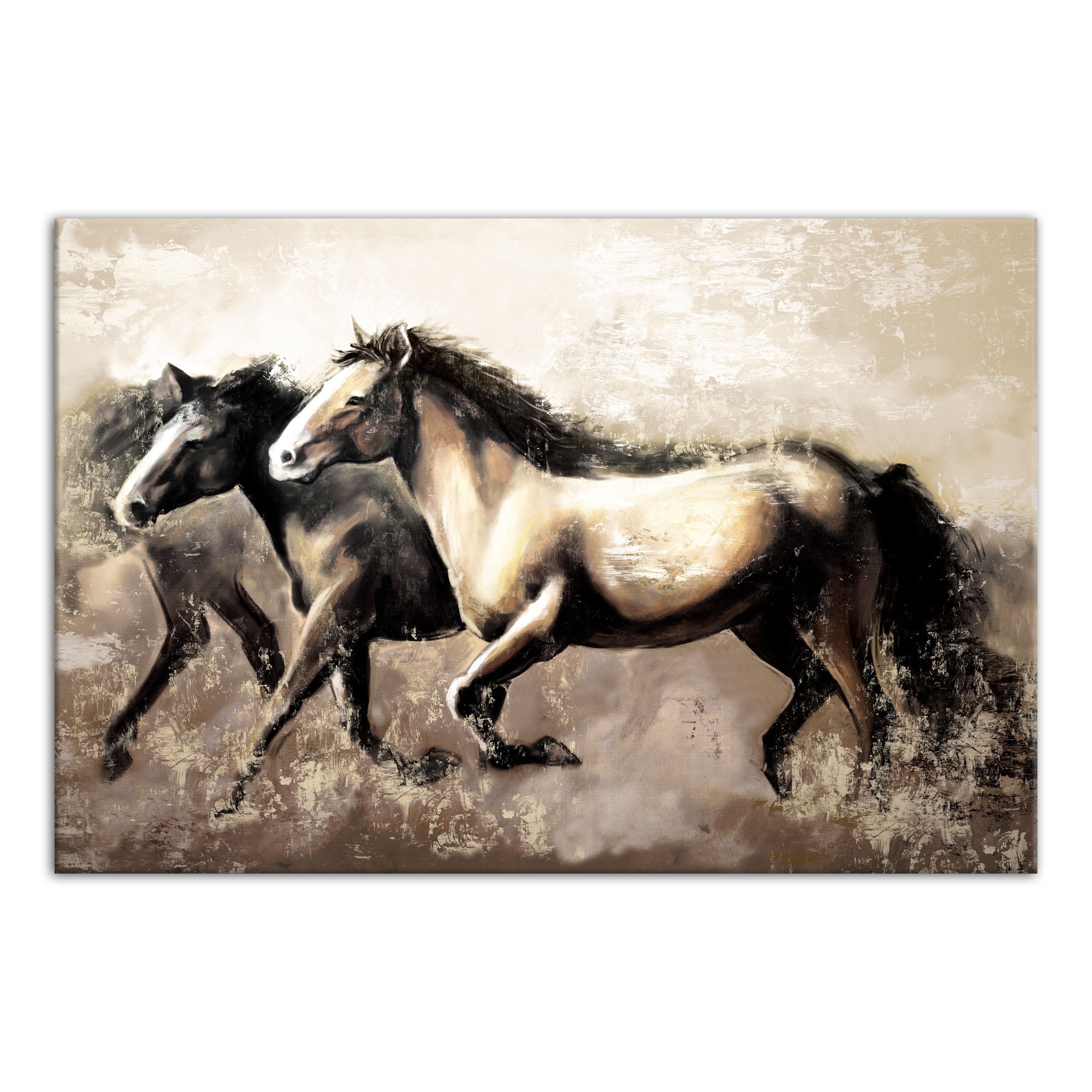Run Horse Run 48x32 Canvas Wall Art