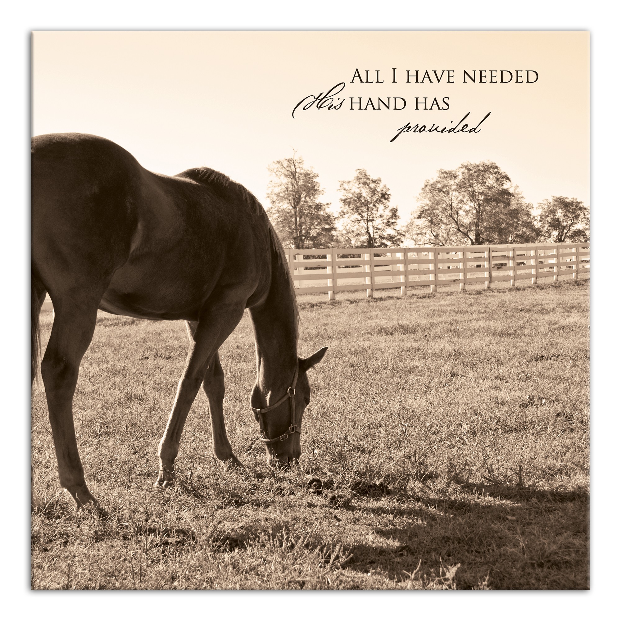 His Hand Provides 16x16 Canvas Wall Art