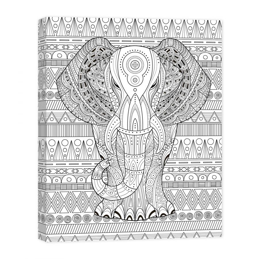 Elephant Enchantment 16x20 Coloring Canvas Wall Art