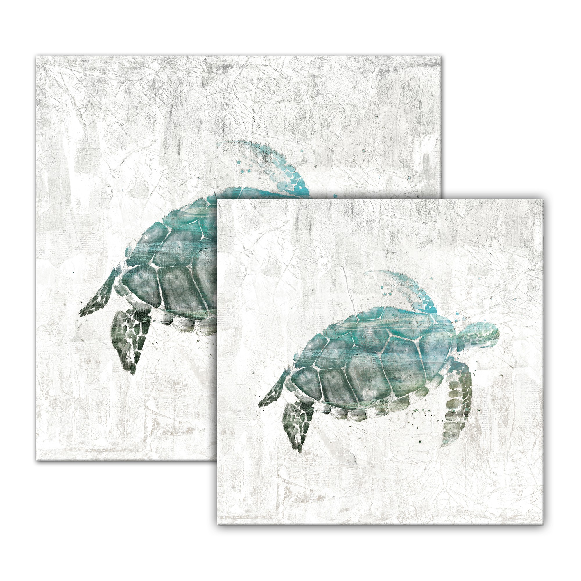 Watercolor Sea Turtle Canvas