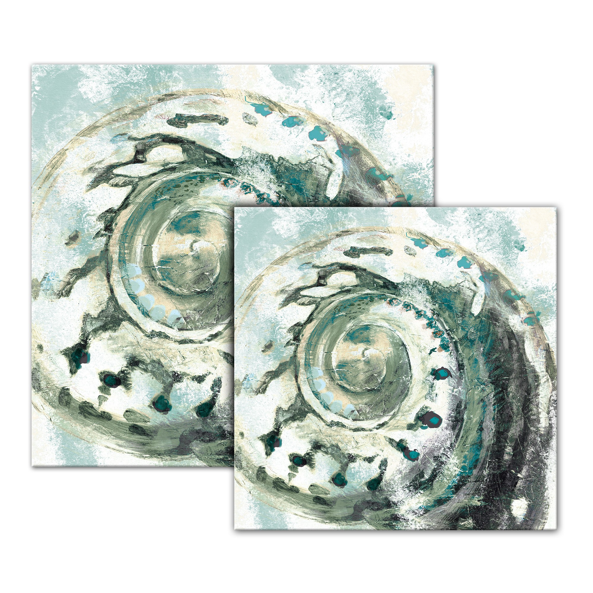 Teal Snail Shell Canvas
