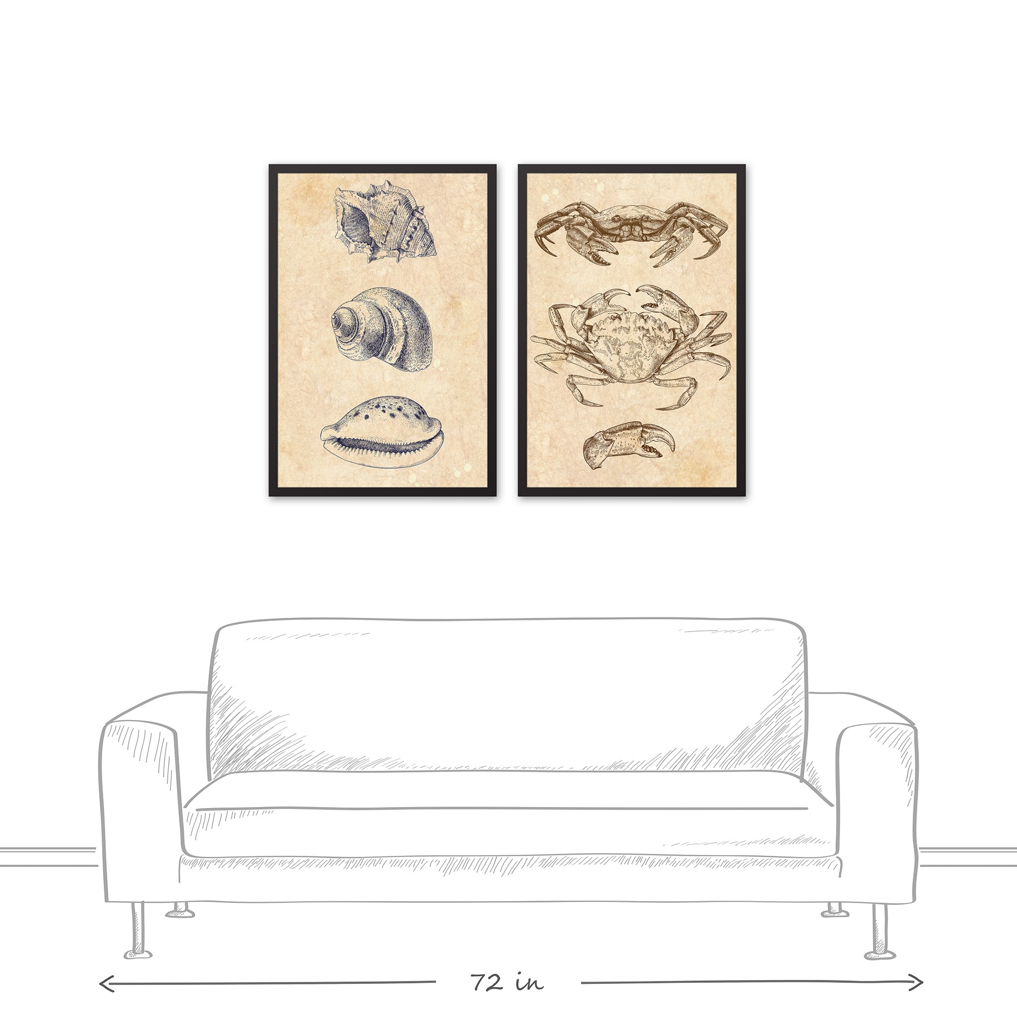 Sea Creature Diagrams Black Framed Canvas Set