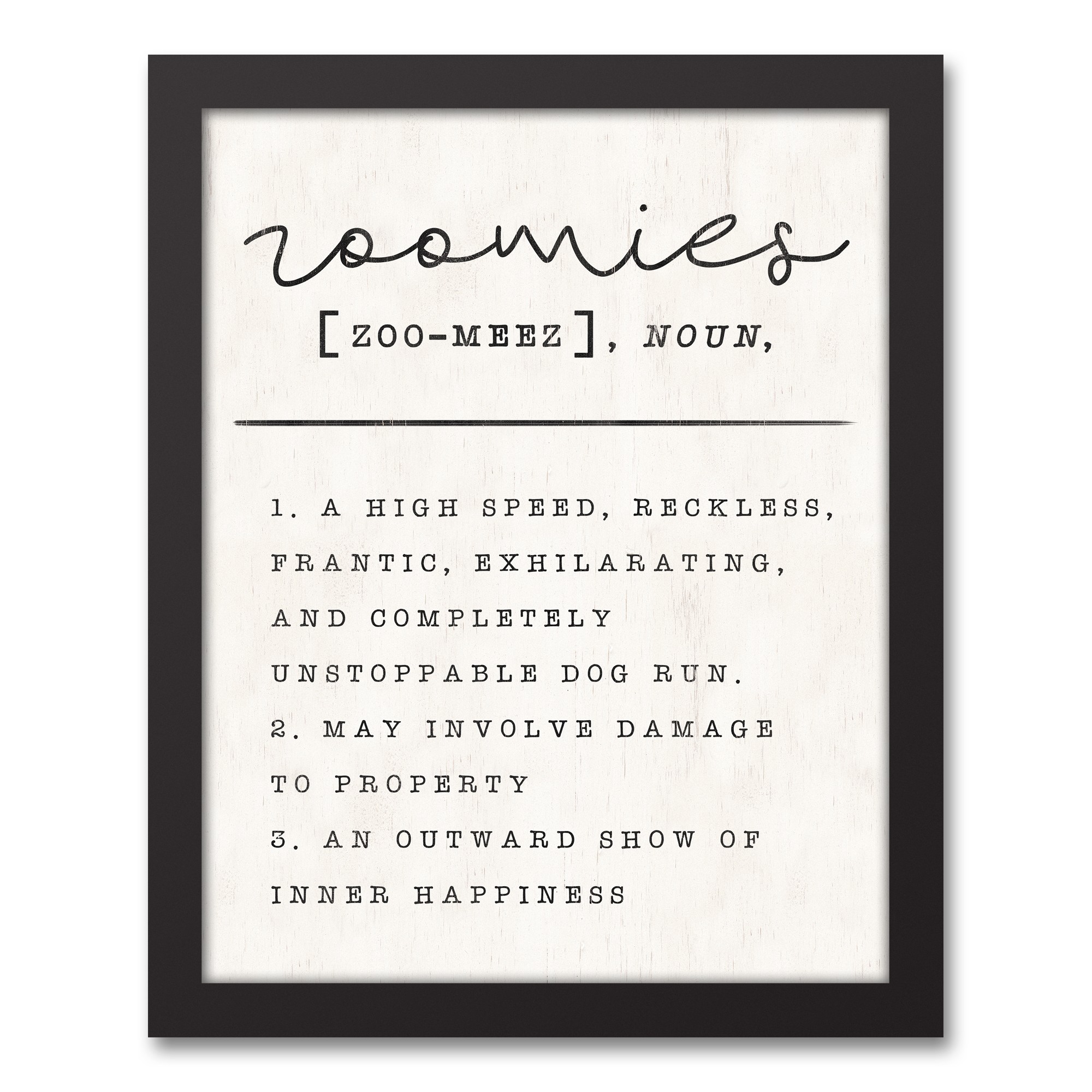 Zoomies Definition 11x14 Black Framed Canvas