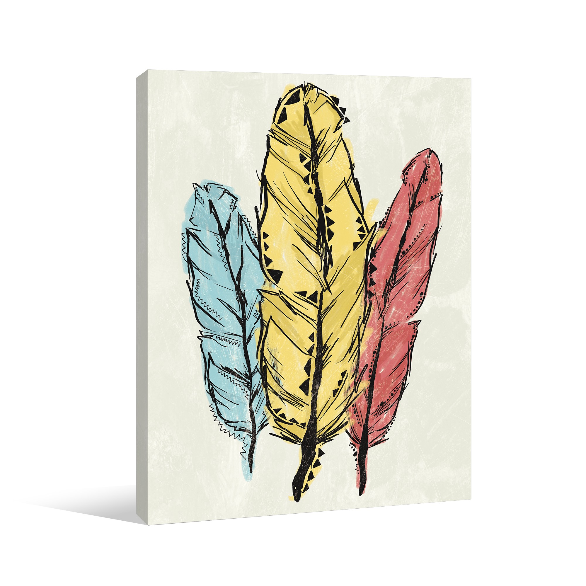 Fun Feathers Canvas Wall Art