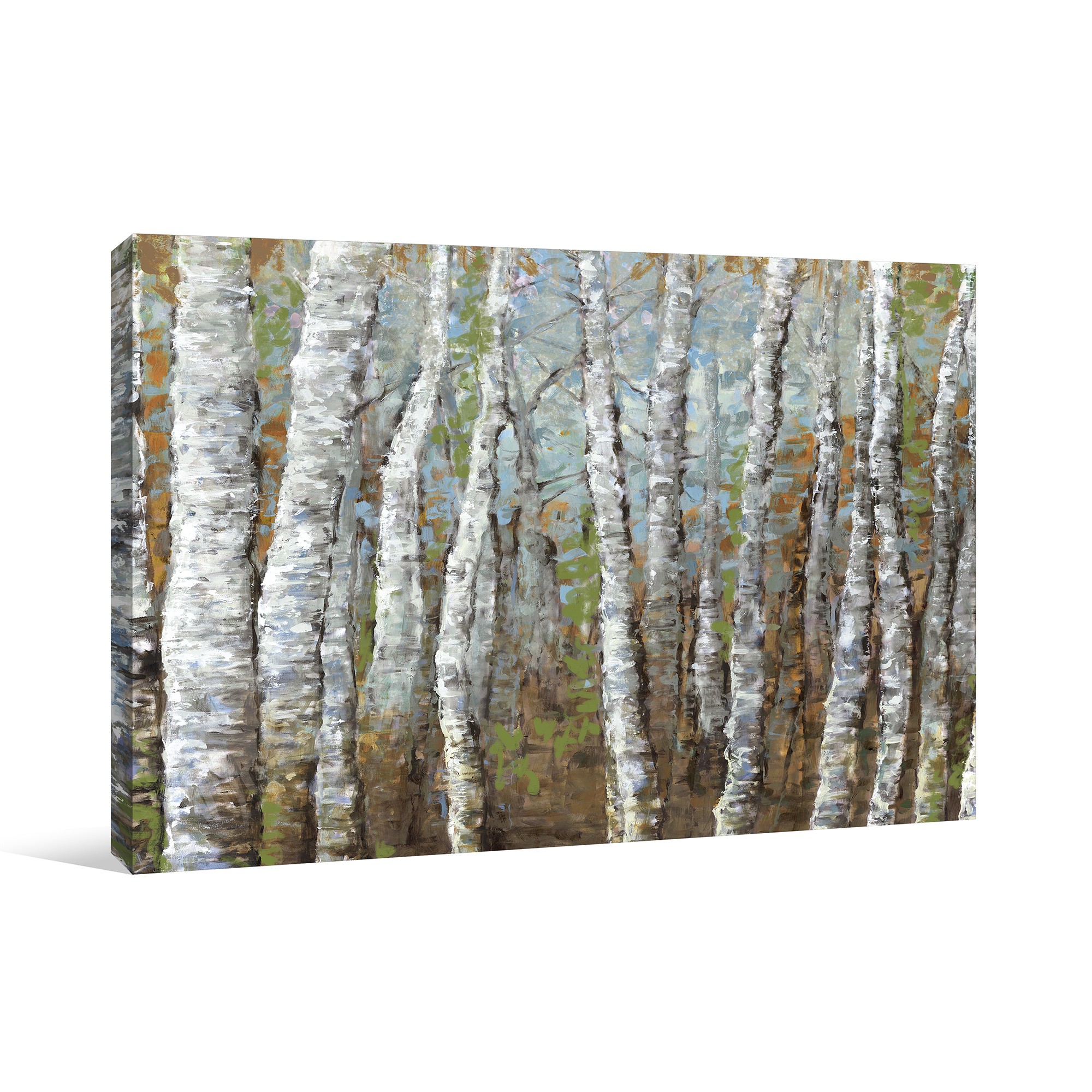 Painted Birches Canvas Wall Art