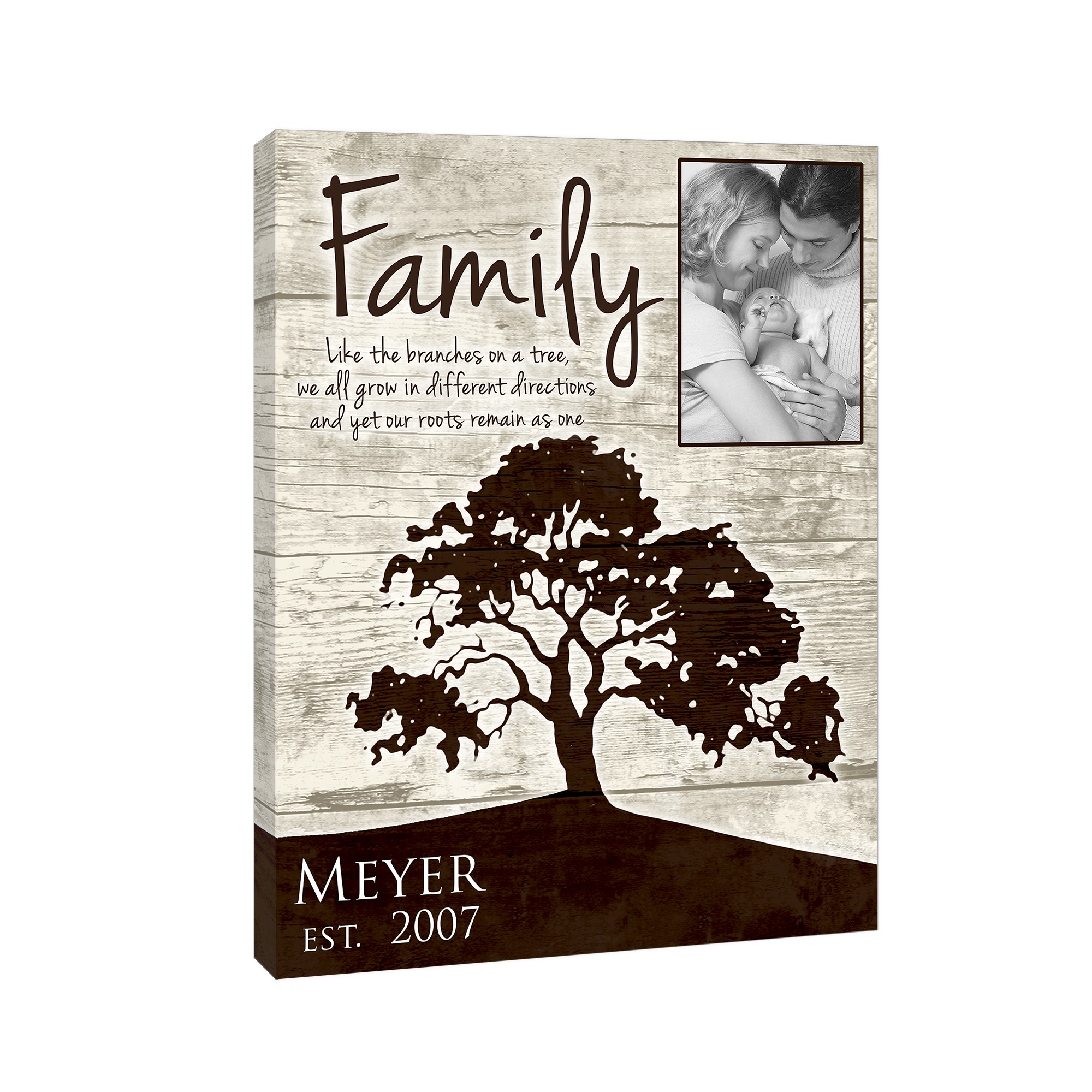 Family Roots 16x20 Canvas Wall Art