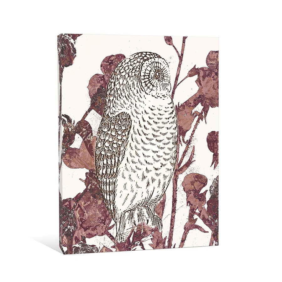 Delicate Brown Owl Canvas Wall Art