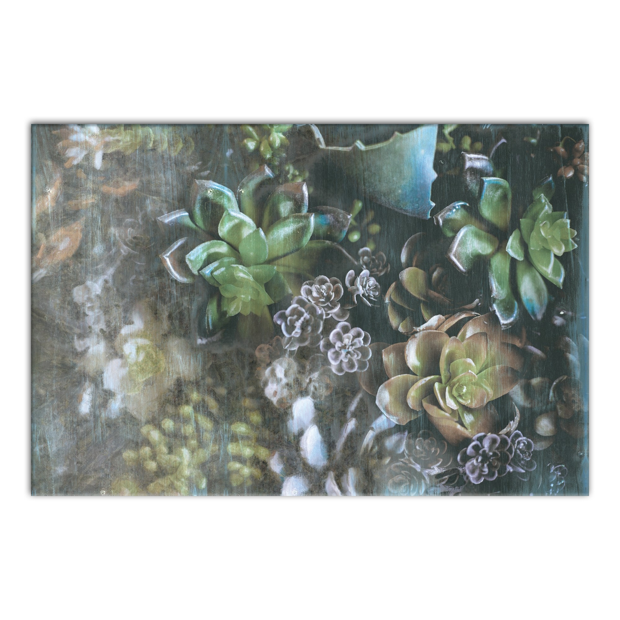 Succulents on Wood 1 36x24 Canvas Wall Art