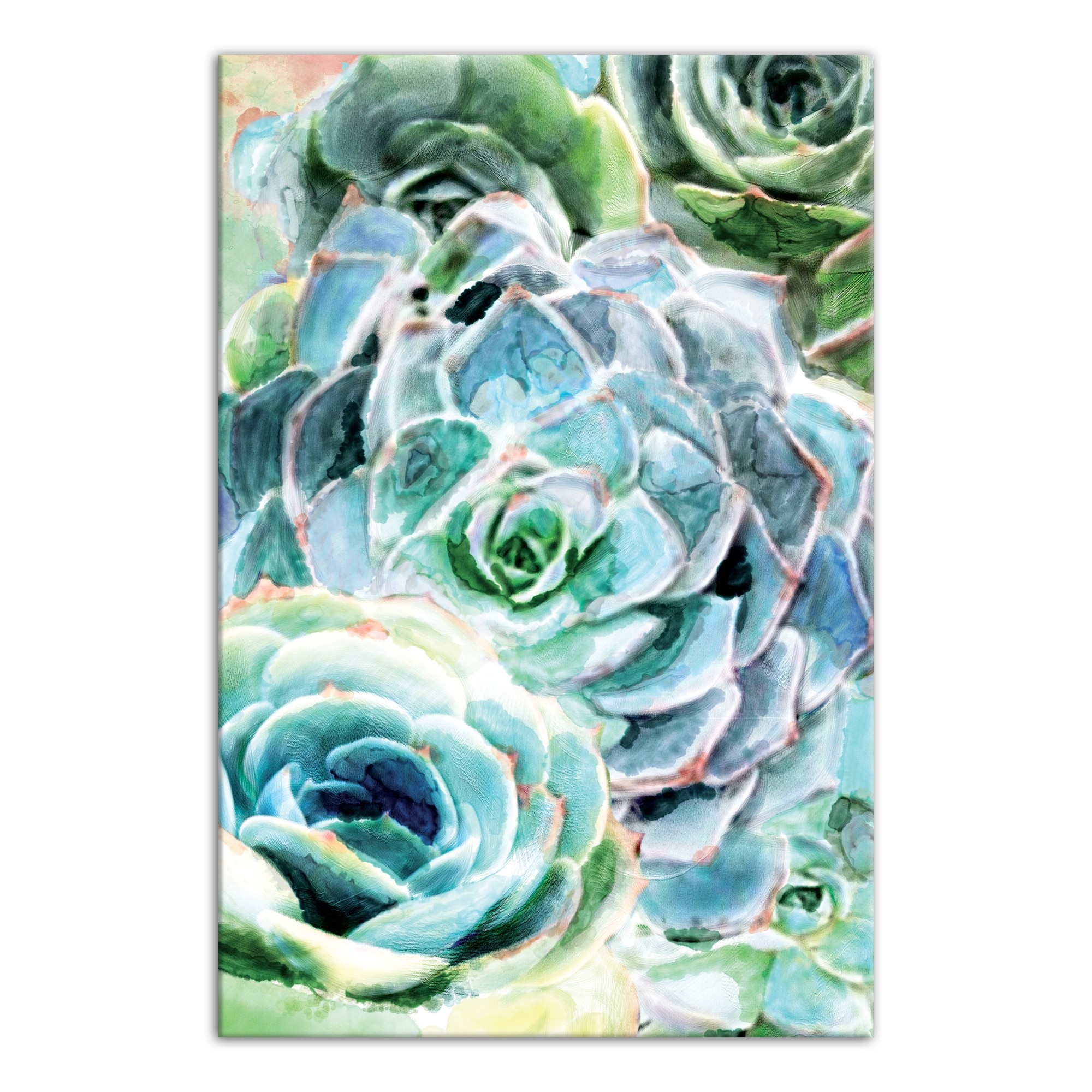 Watercolor Succulent 1 24x36 Canvas Wall Art
