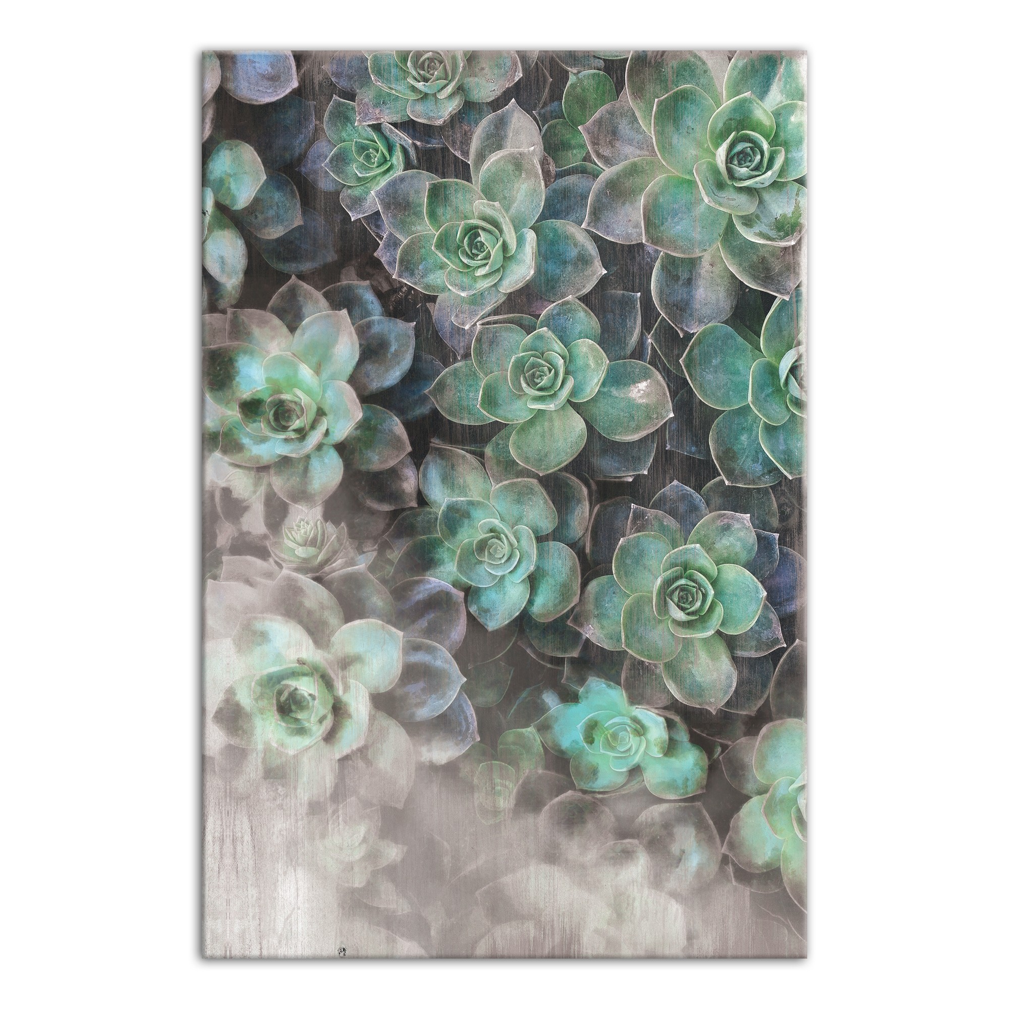 Succulents on Wood 24x36 Canvas Wall Art