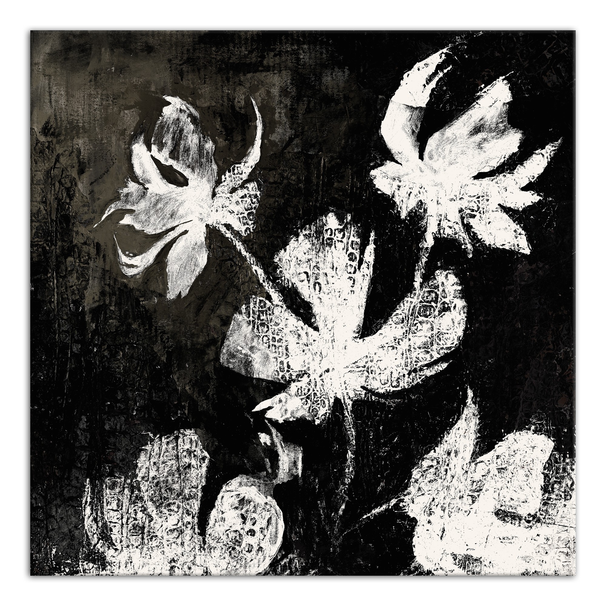 Floral X-ray 1 30x30 Canvas Wall Art