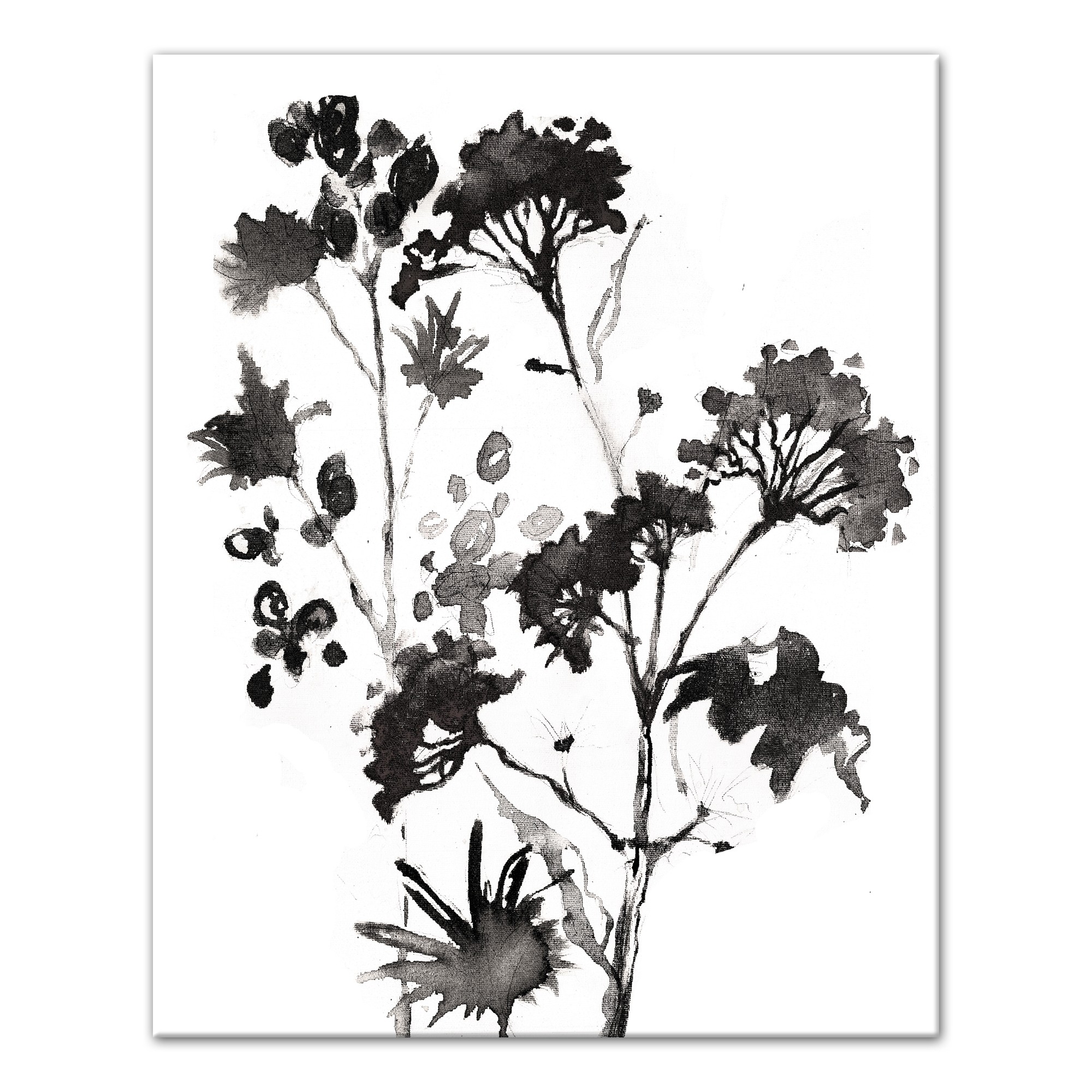 Black and White Wild Flowers 16x20 Canvas Wall Art