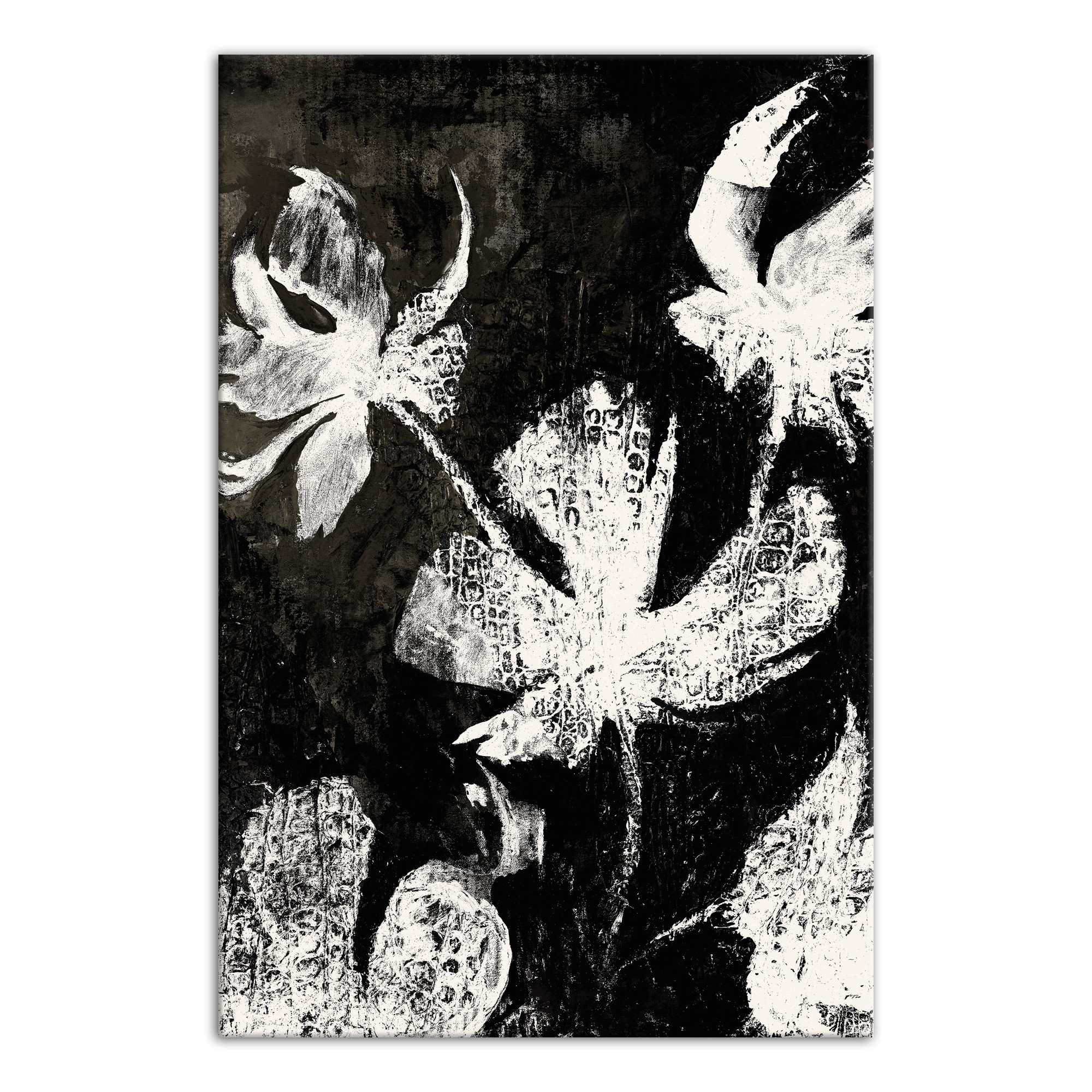 Floral X-ray 24x36 Canvas Wall Art