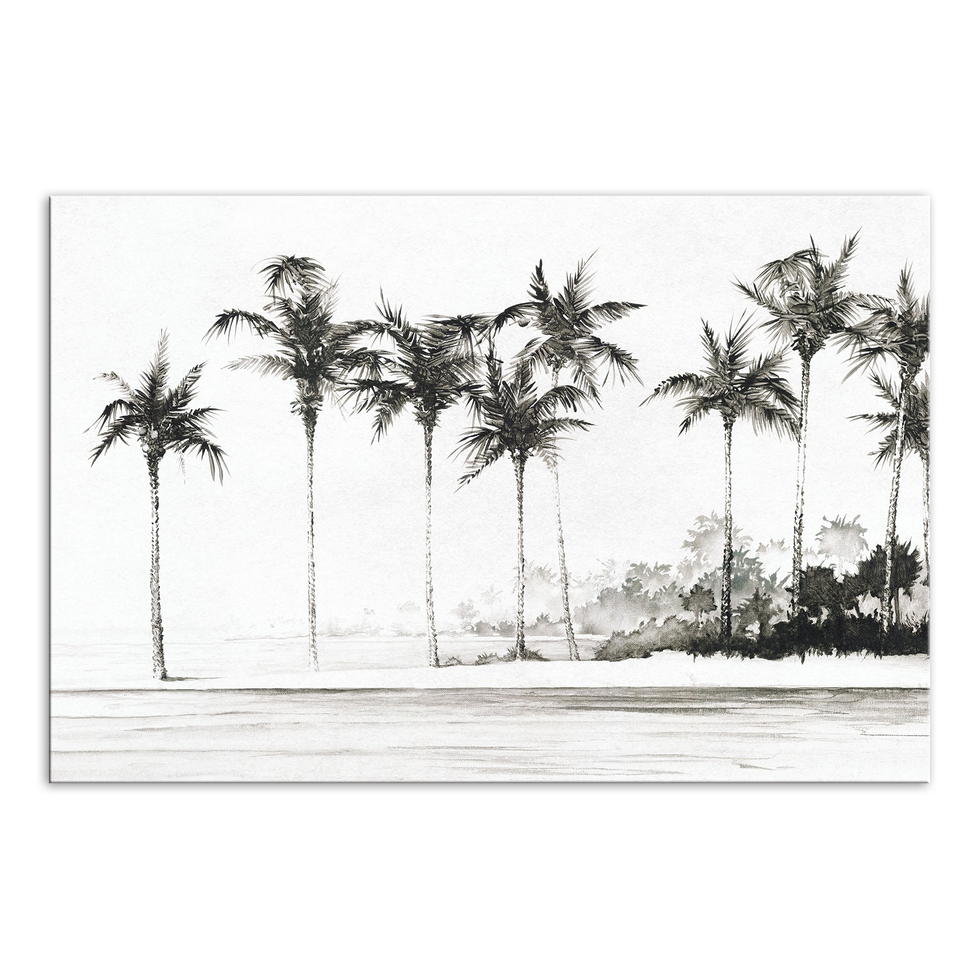 Black and White Palm Trees 36x24 Outdoor Canvas Wall Art