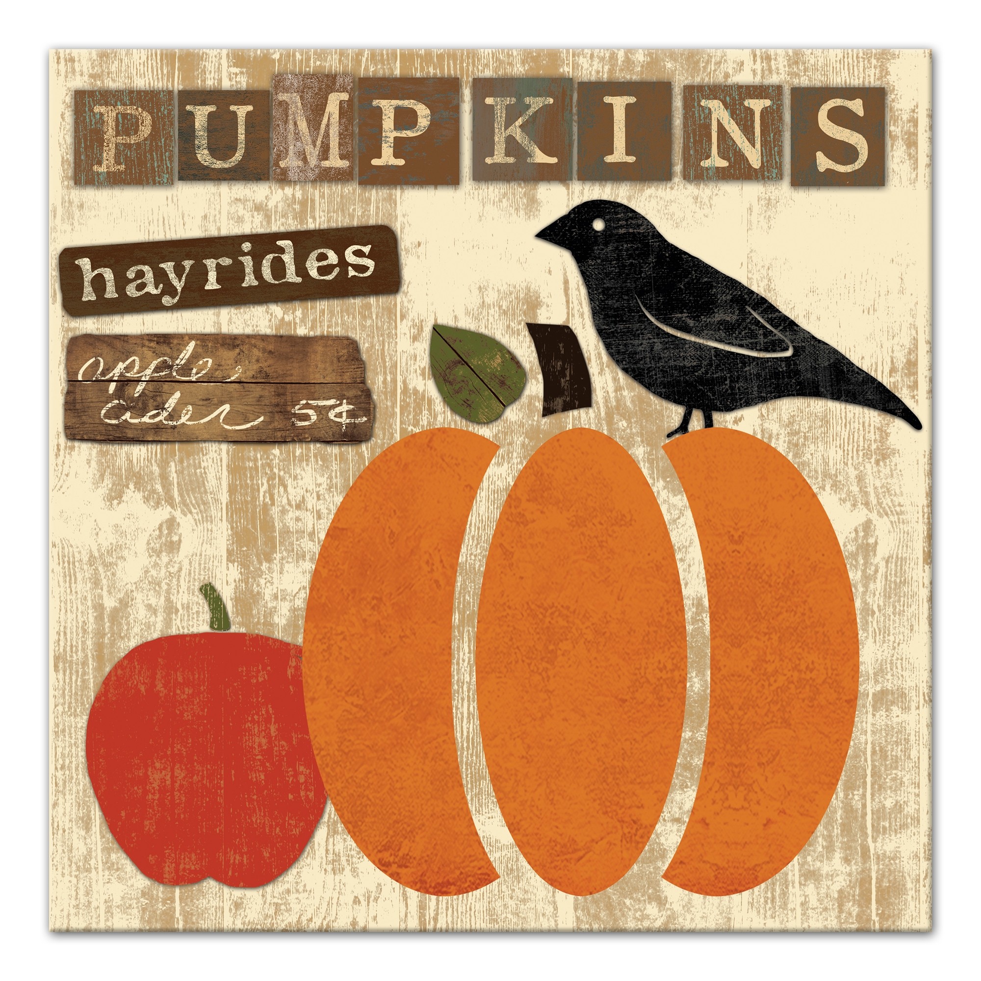 Pumpkins 16x16 Canvas Wall Art