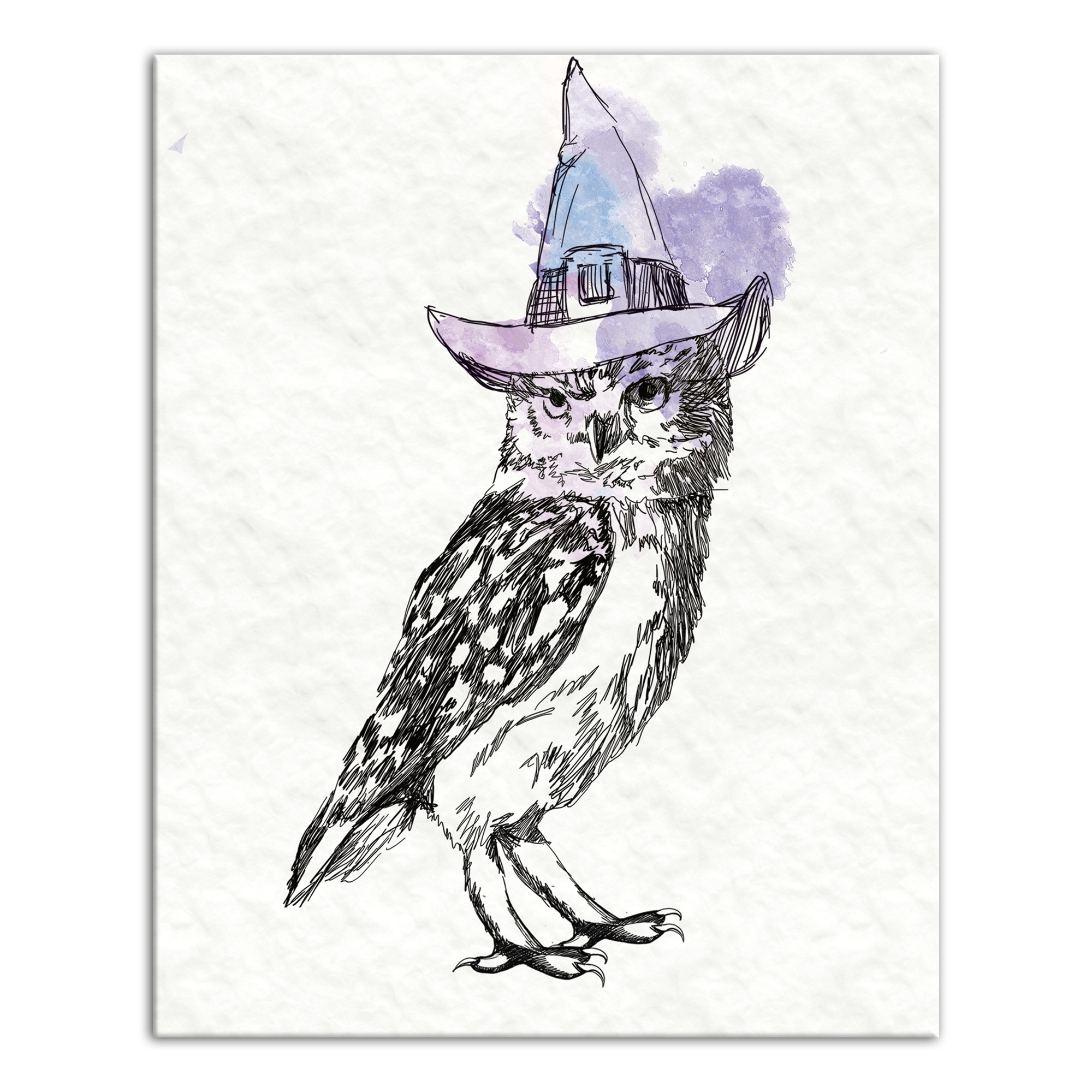 Witchy Owl 16x20 Canvas Wall Art
